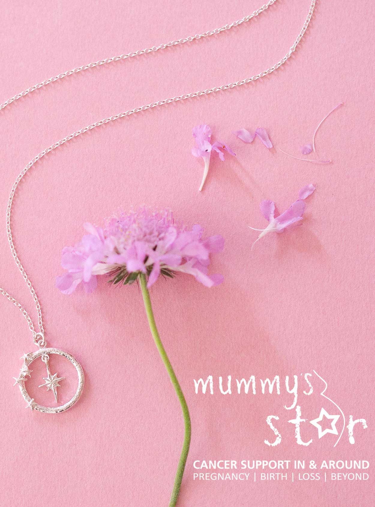 Shining a Light on Mummy’s Star