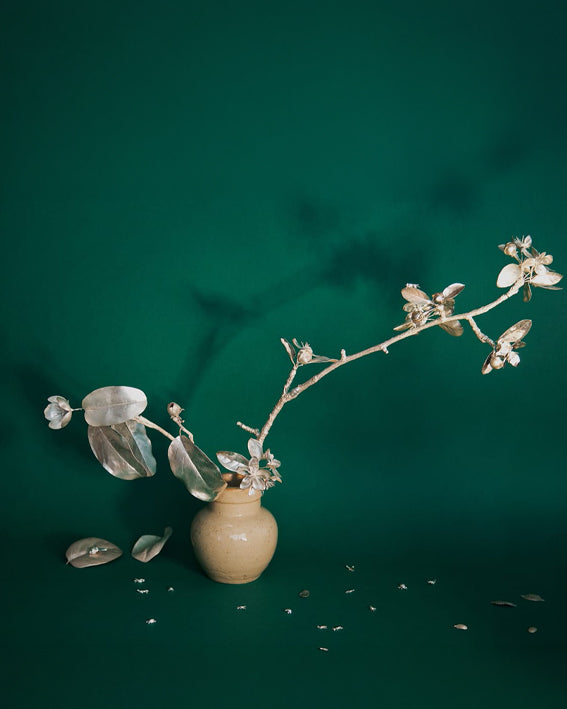 Large silver floral stem displayed in a stoneware vase against pale grey background on a green surface with natural sunlight.