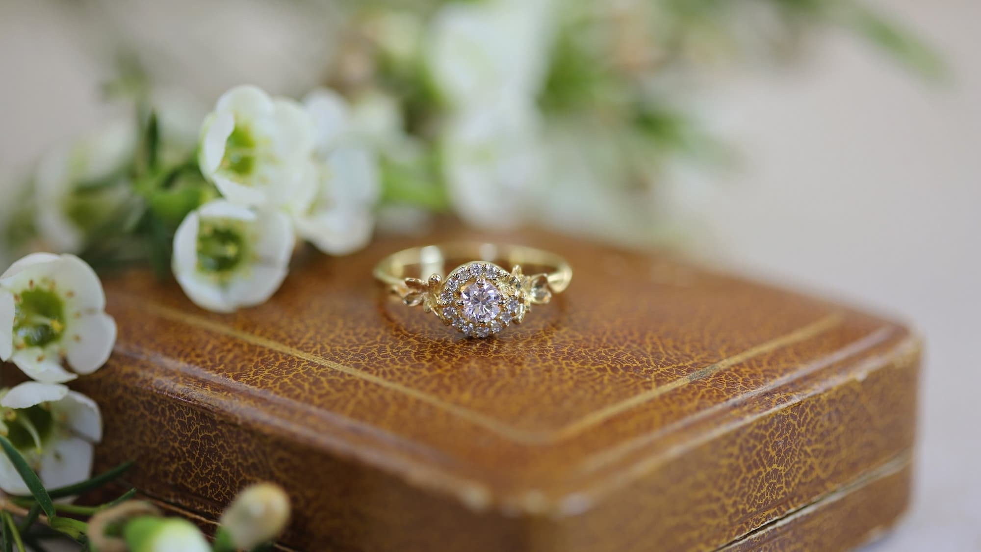 Halo Engagement Rings