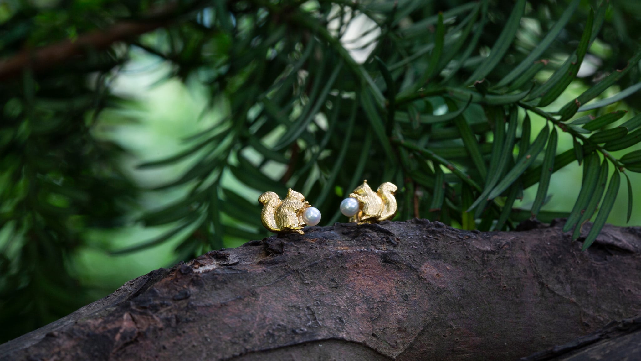 Foragers