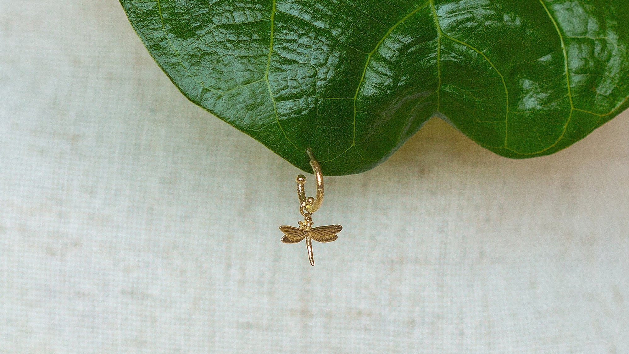 Single Stud Earrings