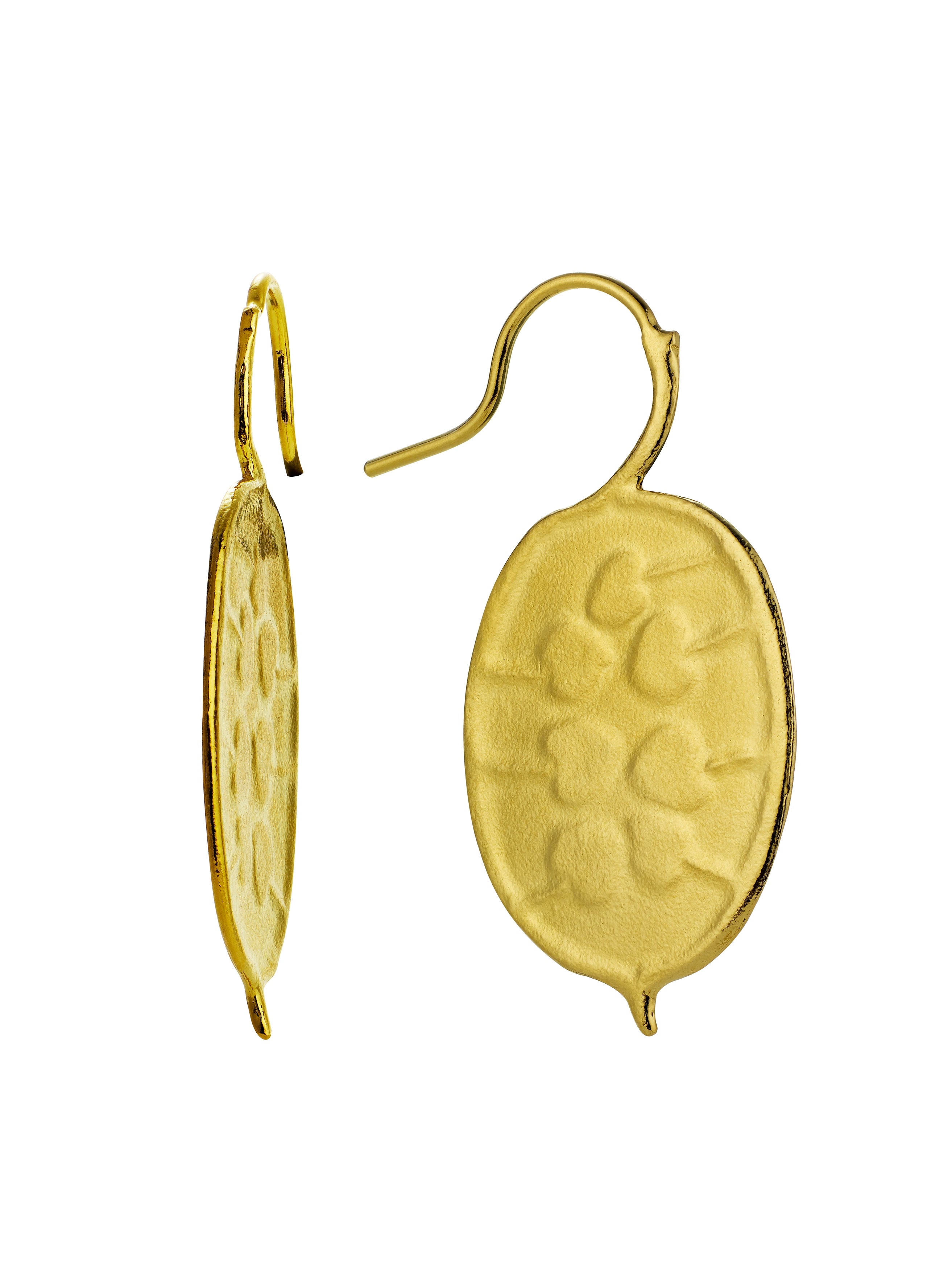 Honesty Pod Hook Earrings with Heart Shaped Seeds - image 1 | gold plate