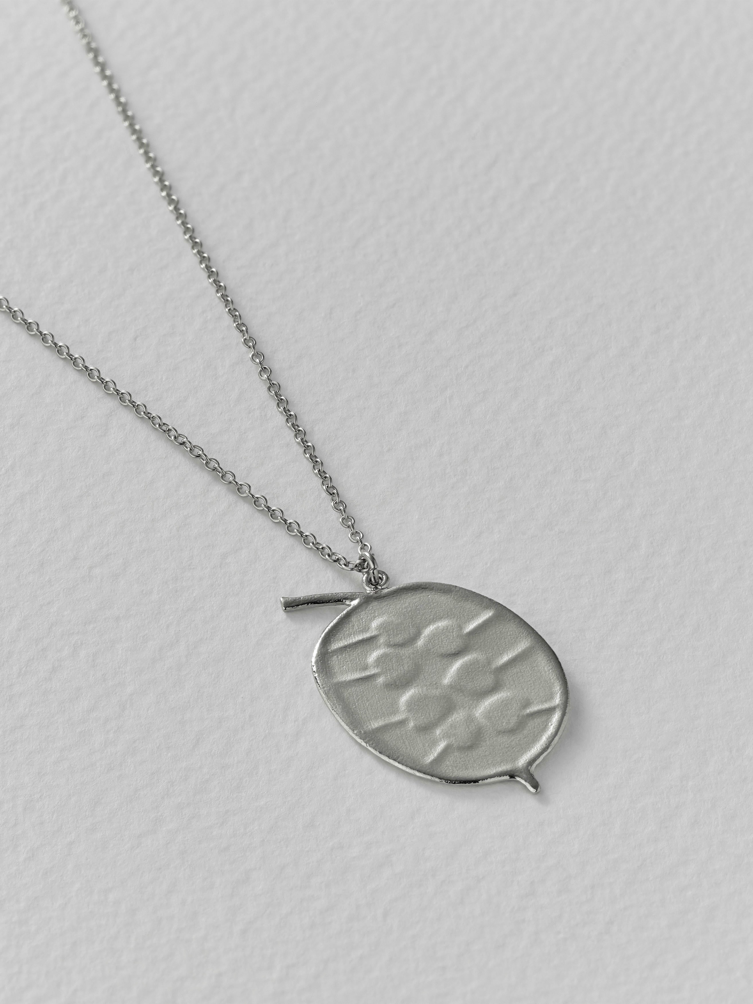 Honesty Pod Necklace with Heart Shaped Seeds - image 8 | silver