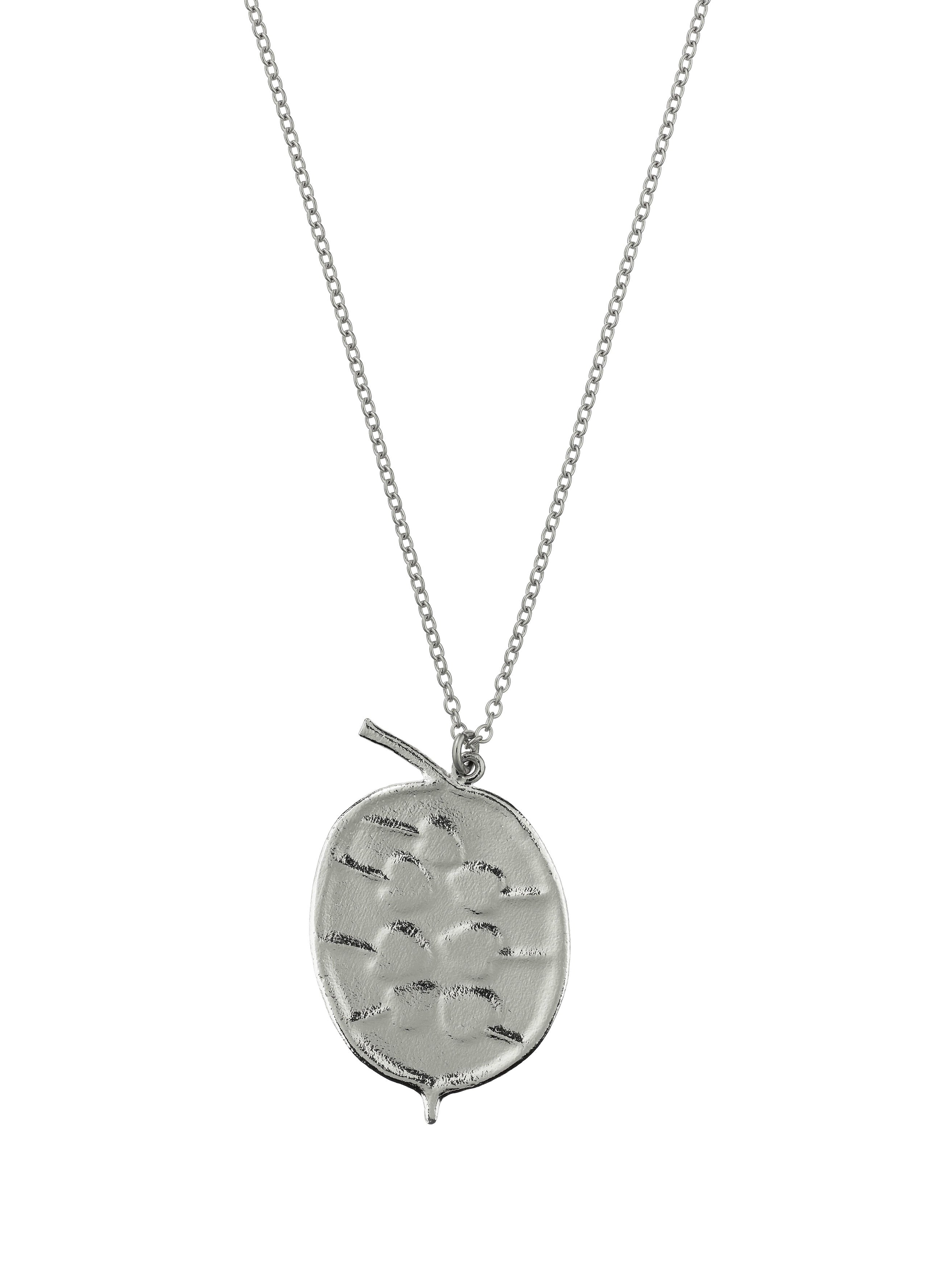 Honesty Pod Necklace with Heart Shaped Seeds - image 6 | silver