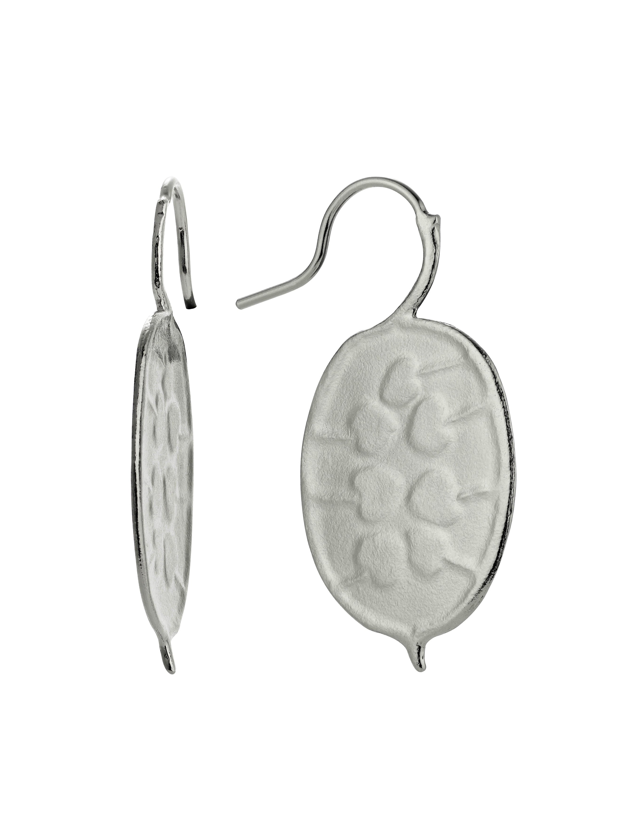 Honesty Pod Hook Earrings with Heart Shaped Seeds - image 8 | silver