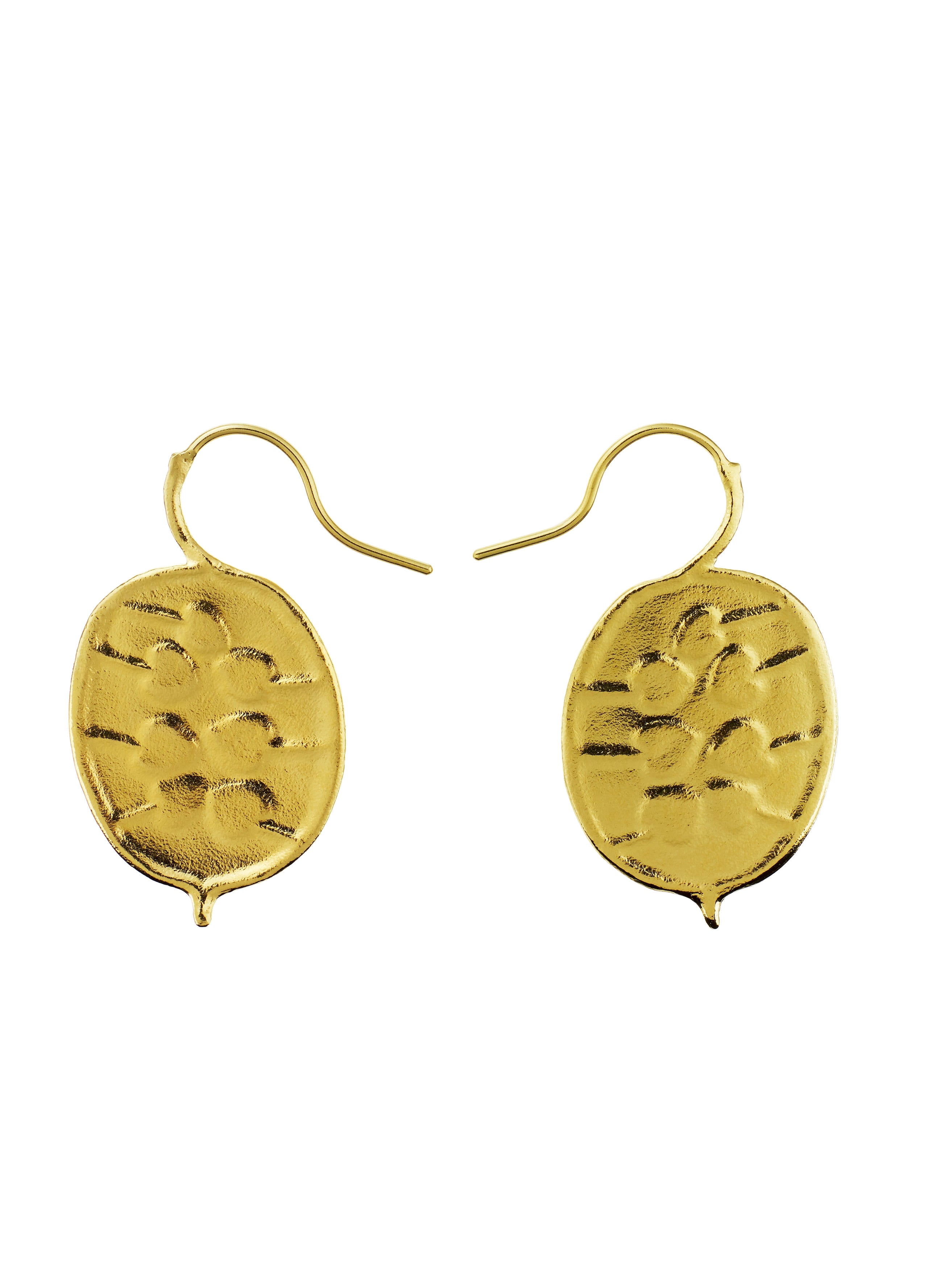 Honesty Pod Hook Earrings with Heart Shaped Seeds - image 7 | gold plate