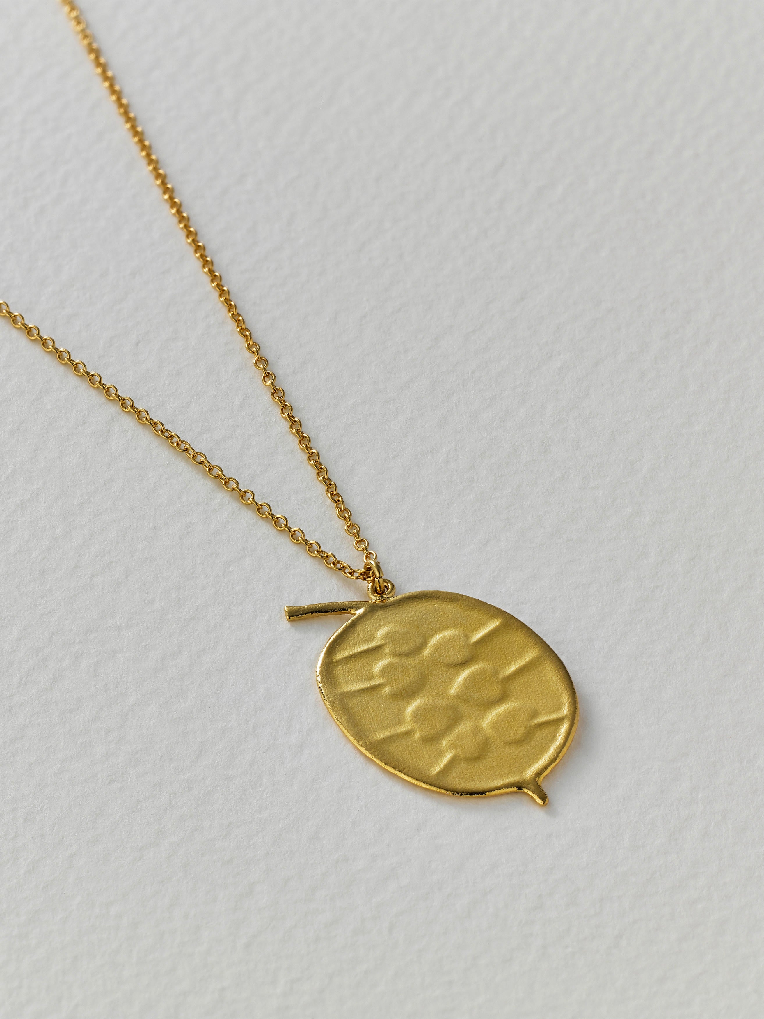 Honesty Pod Necklace with Heart Shaped Seeds - image 5 | gold plate