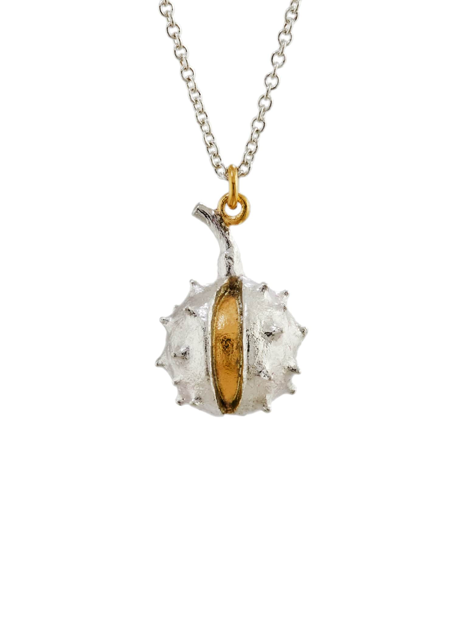 Conker Necklace - image 1 | silver & gold plate