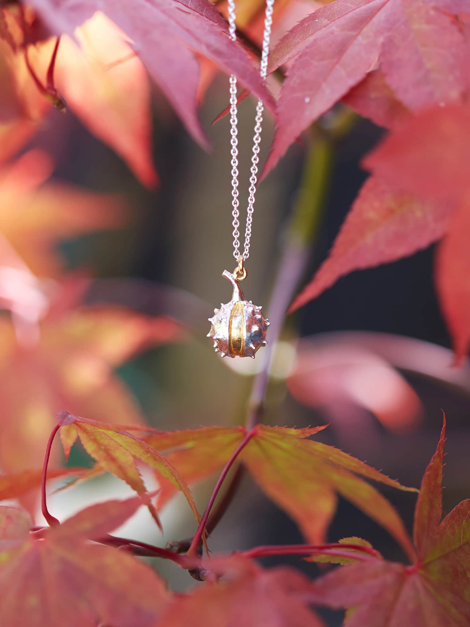 Conker Necklace - image 4