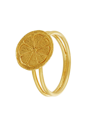 Lemon Slice Double Band Ring