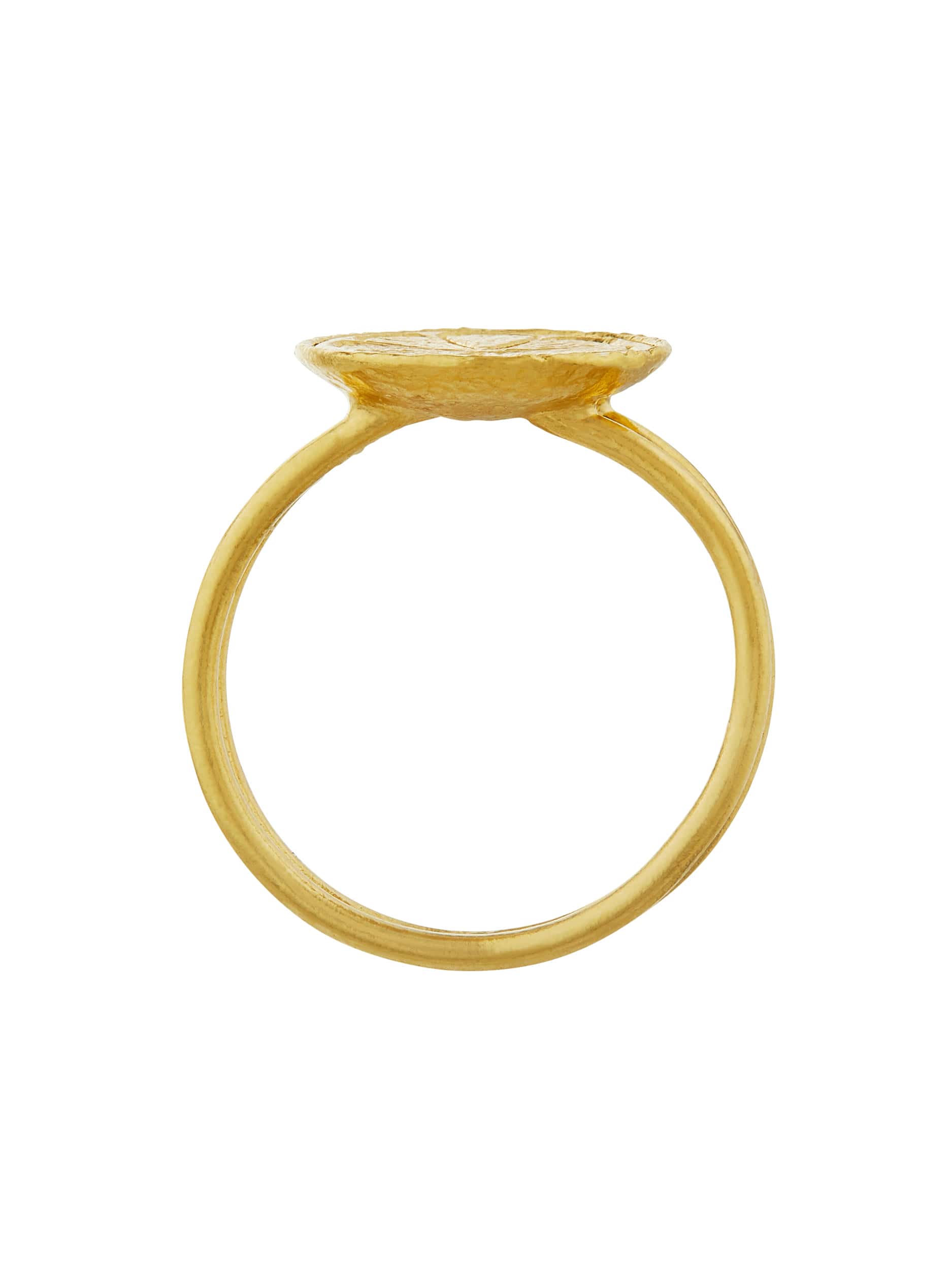 Lemon Slice Double Band Ring - image 4 | gold plate