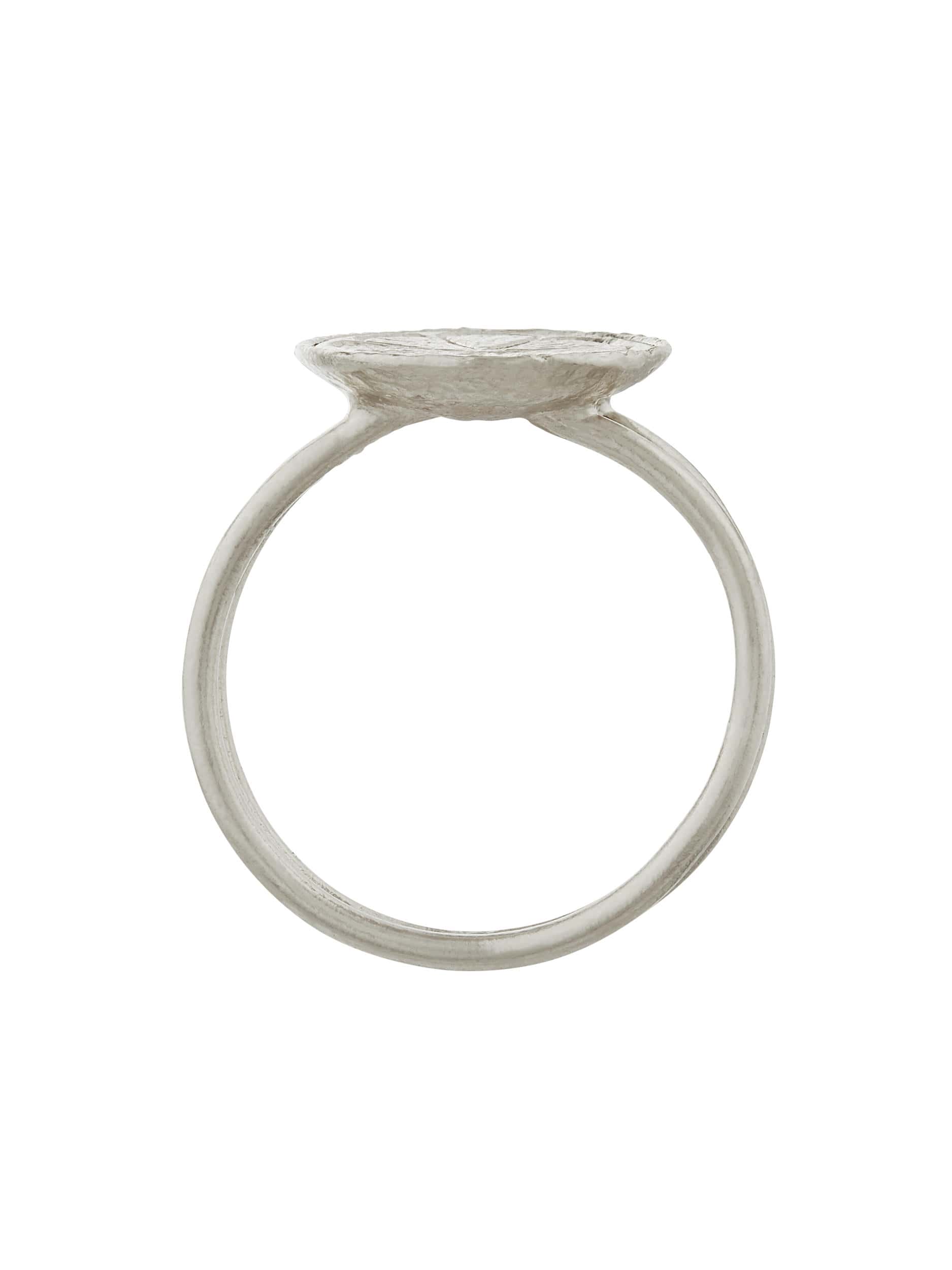 Lemon Slice Double Band Ring - image 9 | silver