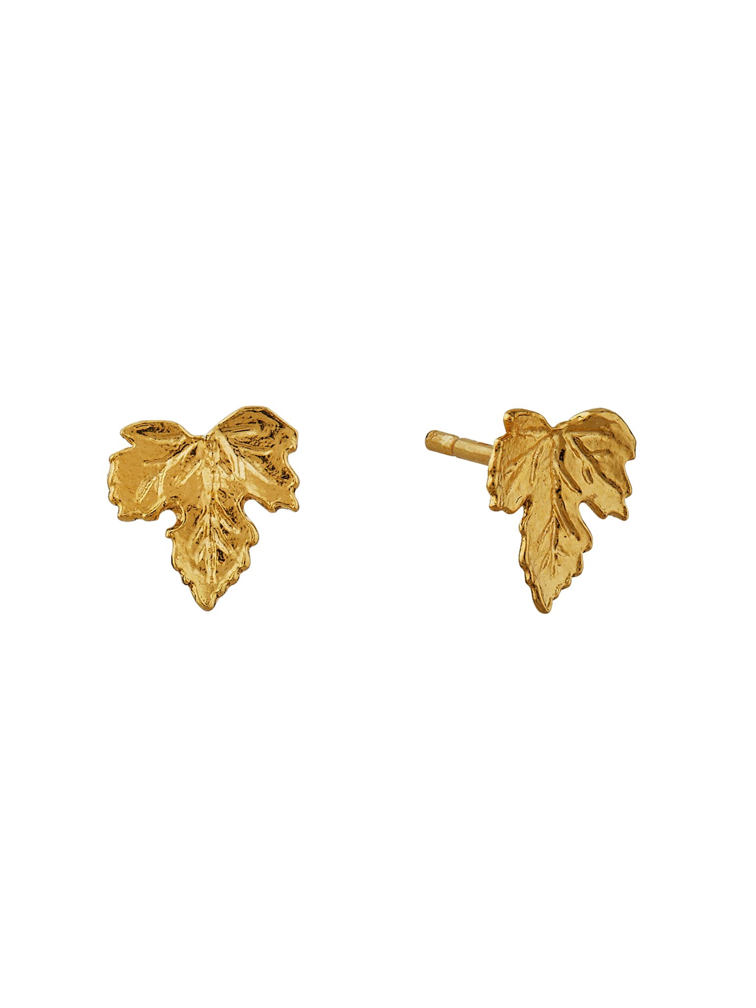 Vine Leaf Stud Earrings - image 1 | gold plate
