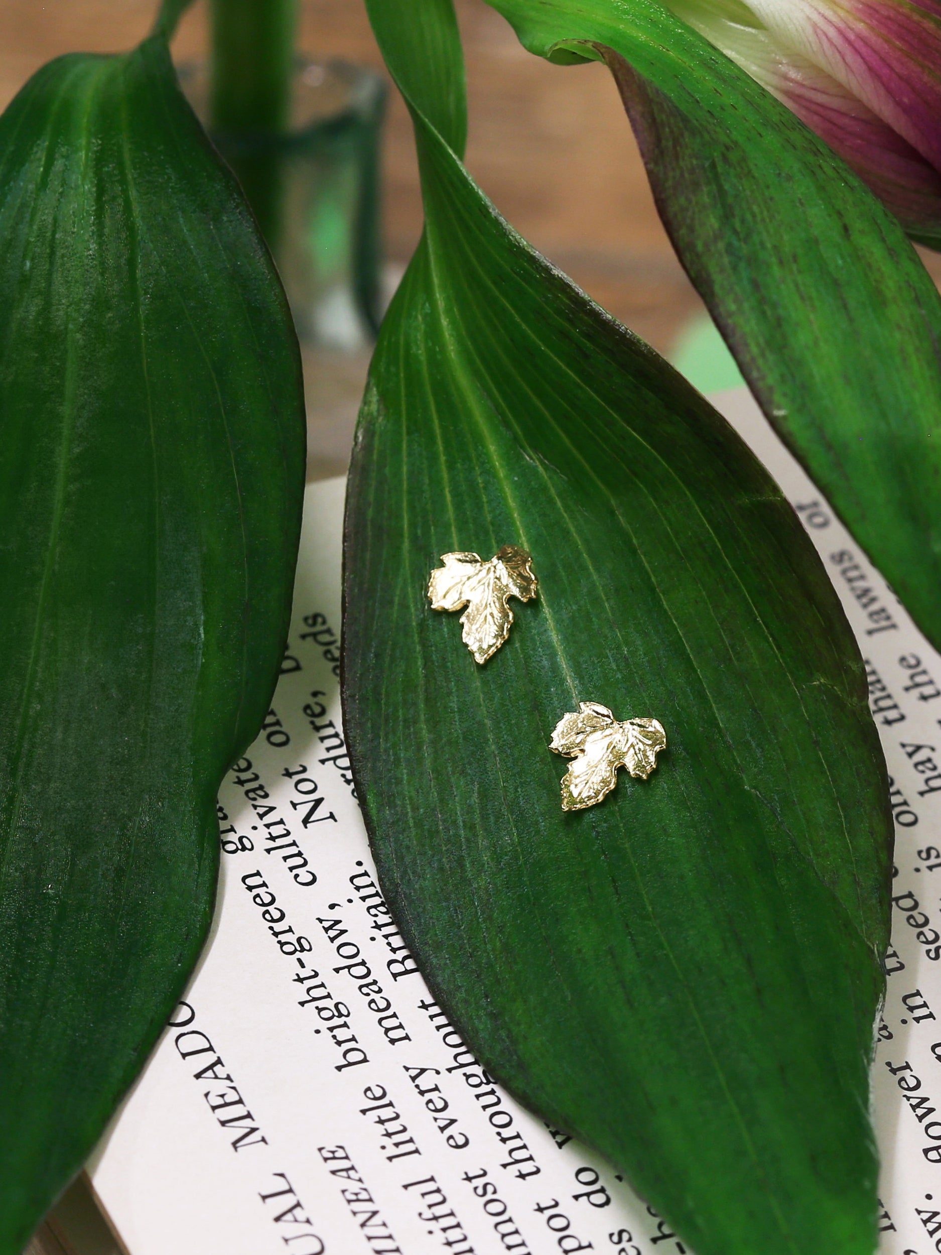 Vine Leaf Stud Earrings - image 3