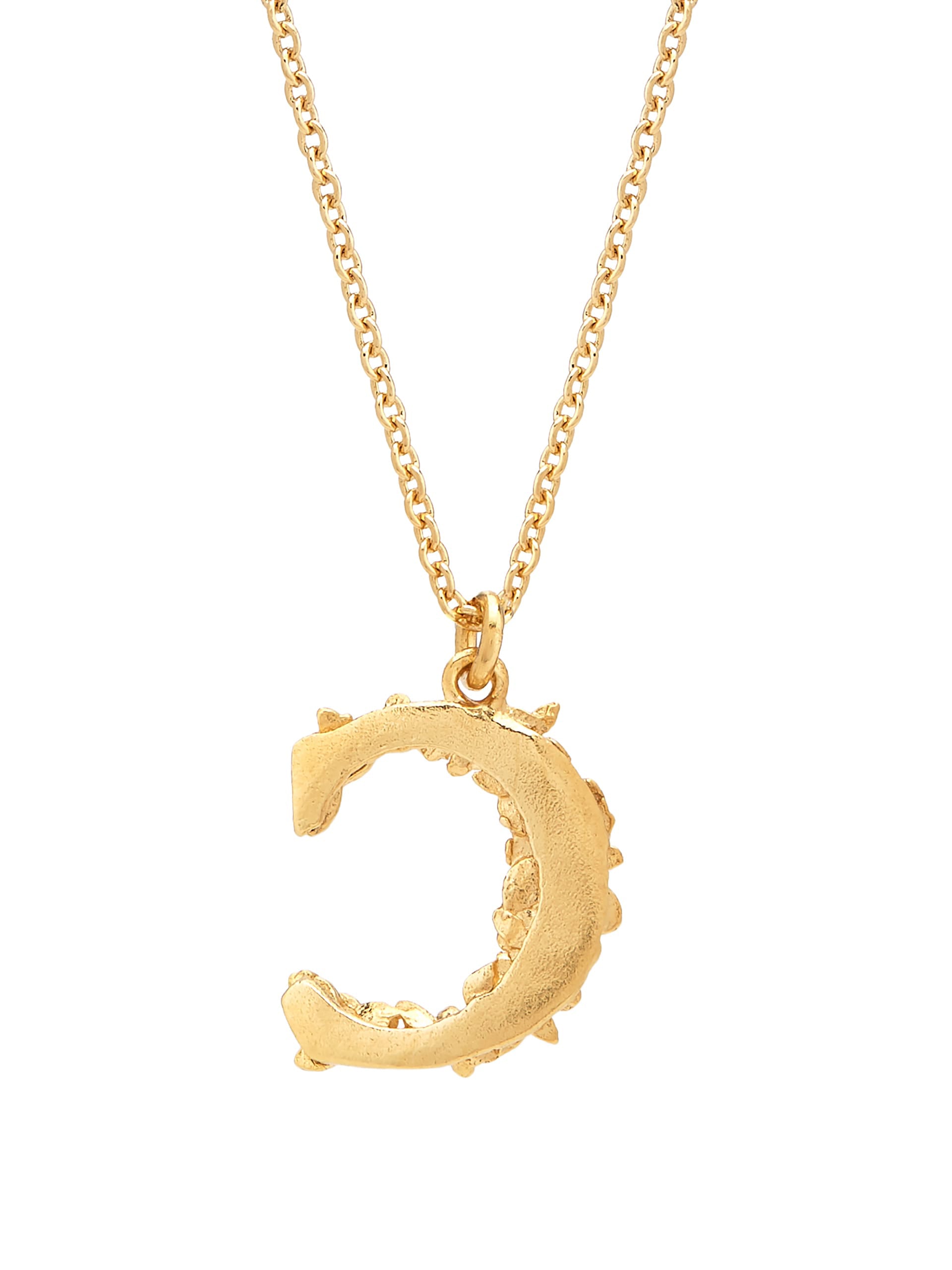 Floral Letter C necklace - image 4 | gold plate