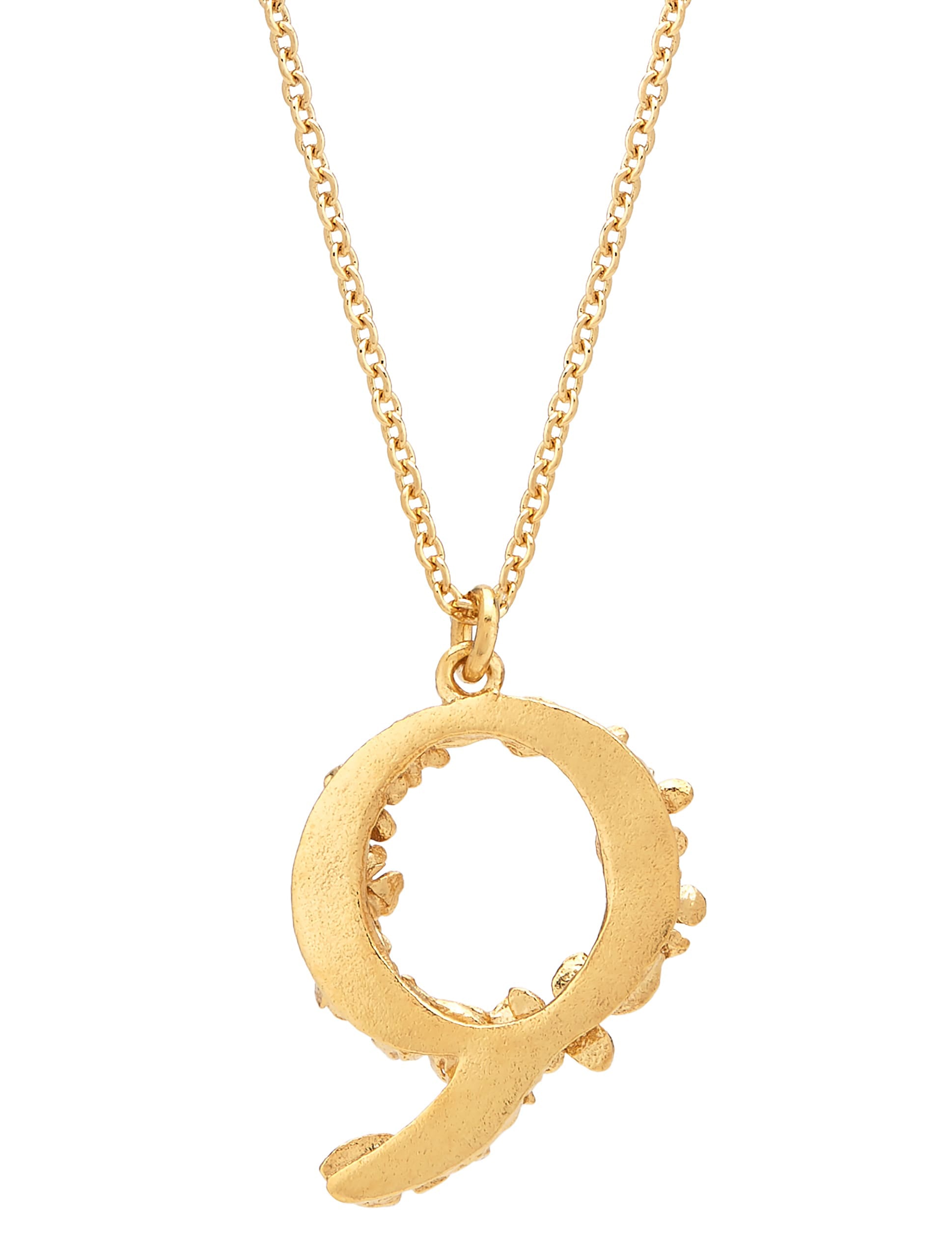 Floral Letter Q Necklace - image 4 | gold plate