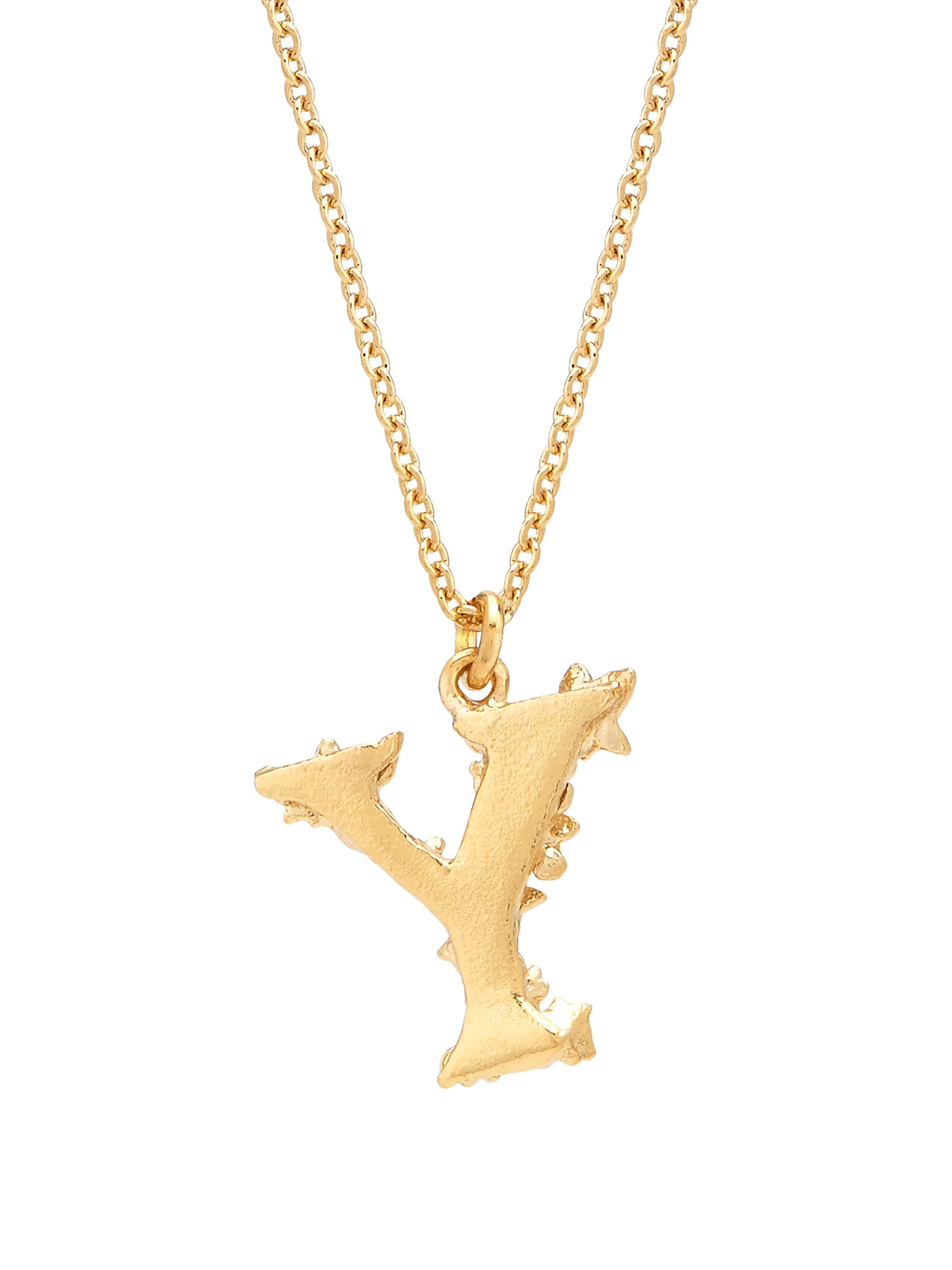 Floral Letter Y Necklace - image 4 | gold plate