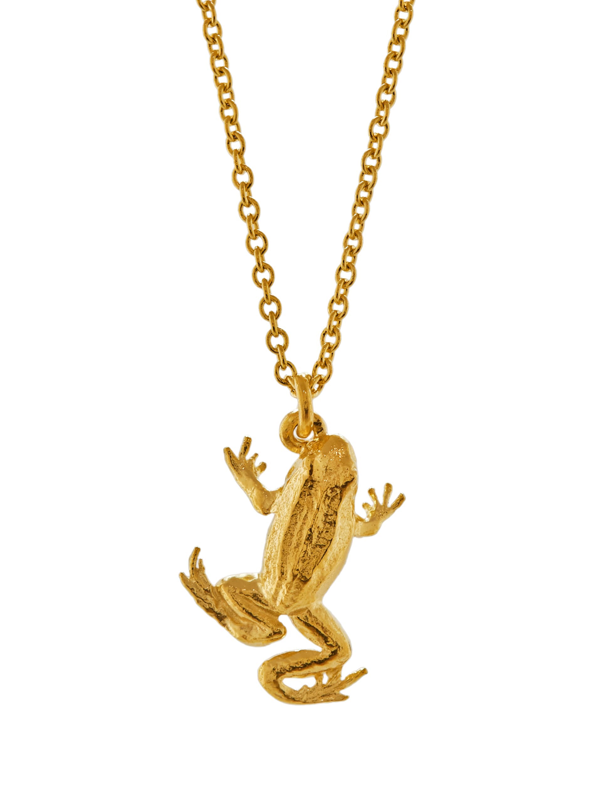 Frog Necklace - image 1 | gold plate
