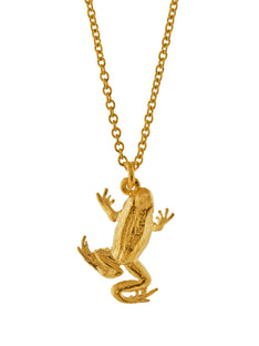 Frog Necklace