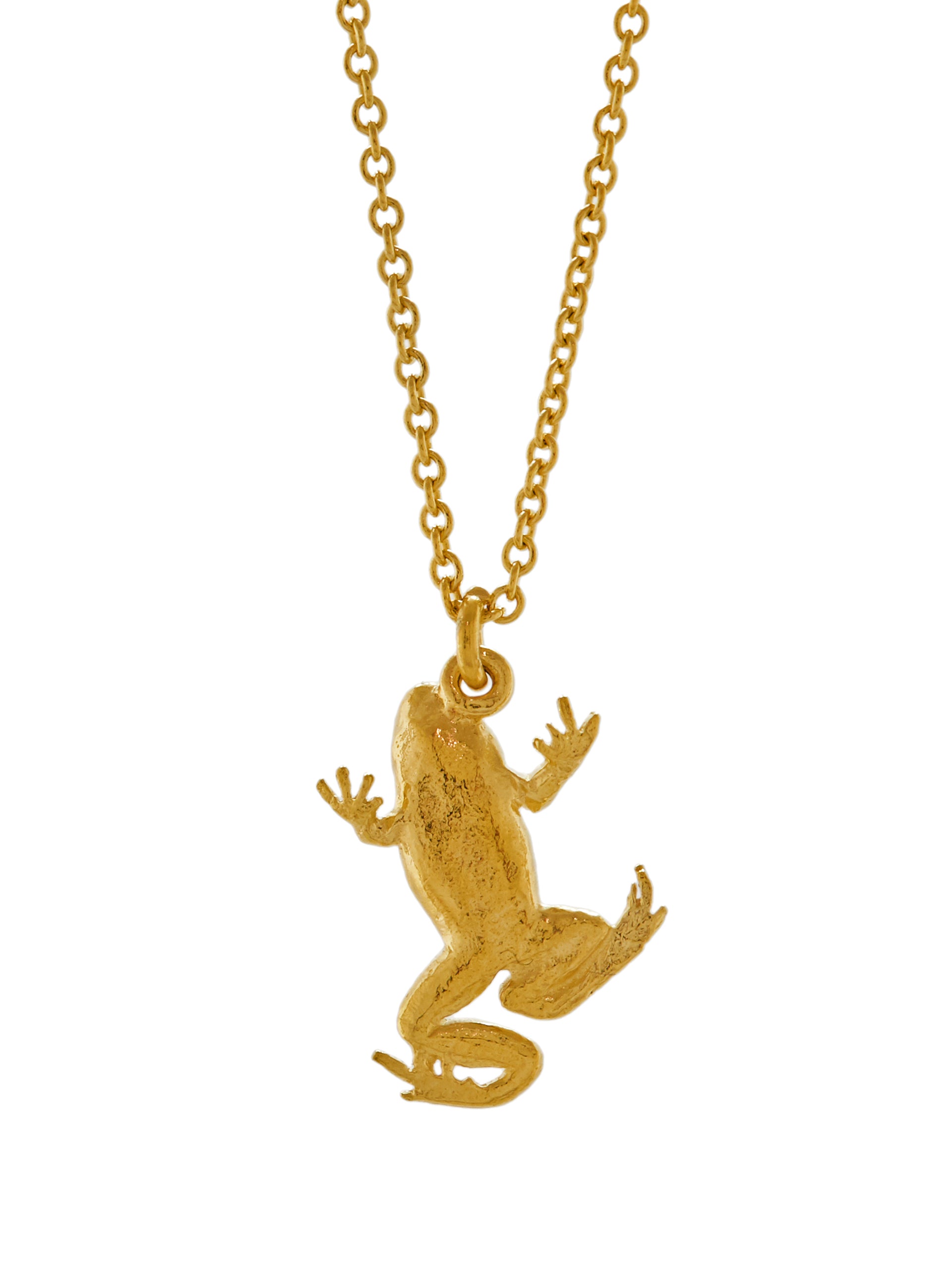 Frog Necklace - image 4 | gold plate