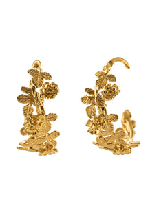 Wildrose Wide Hoop Earrings