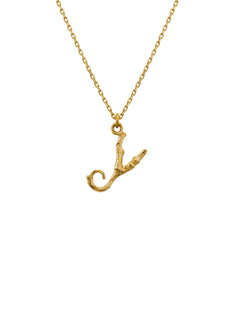 Enchanted Twig Alphabet - Letter Y