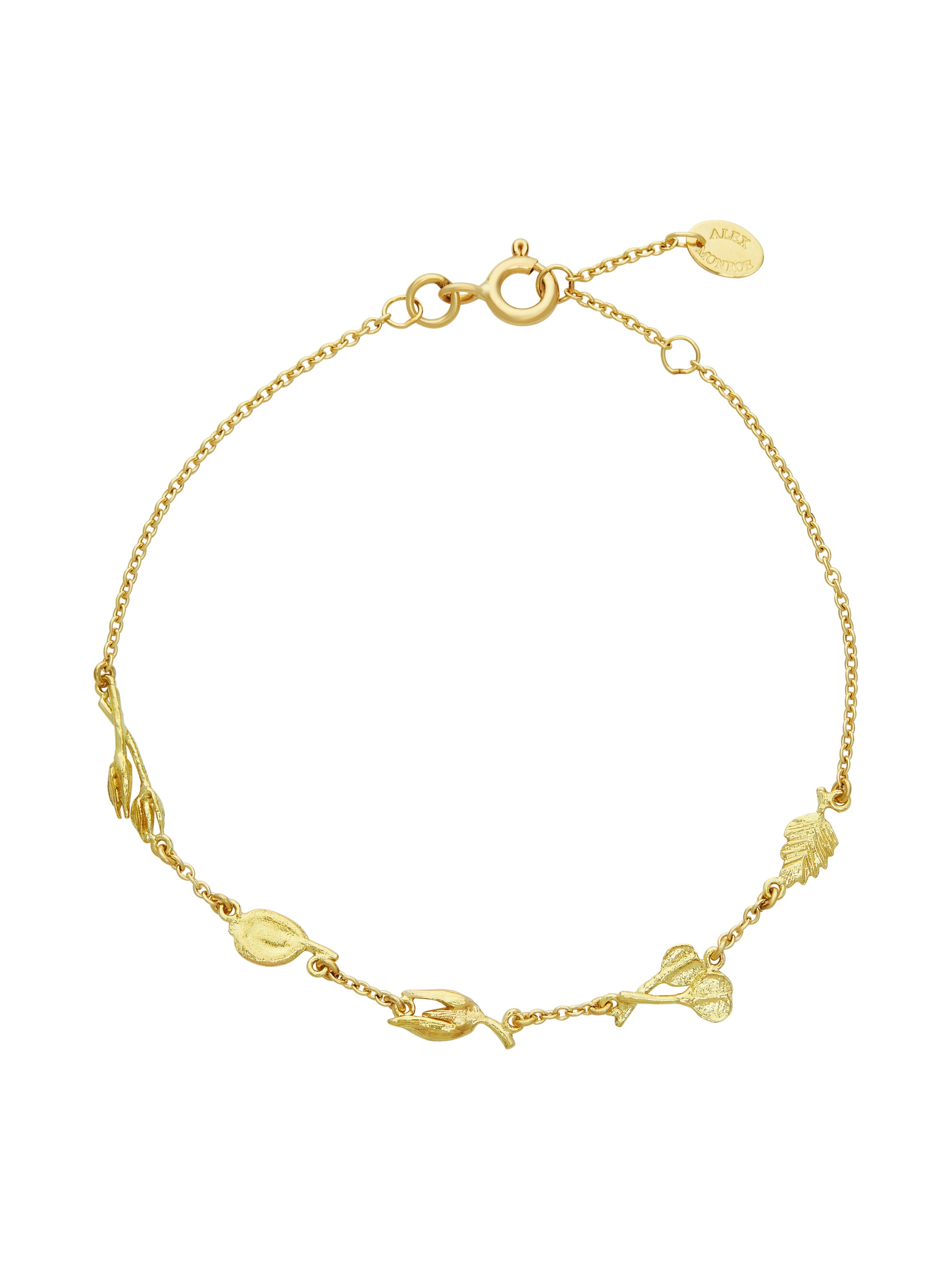 Autumn Stroll Bracelet with Five Inline Seeds - image 1 | 18ct yellow gold