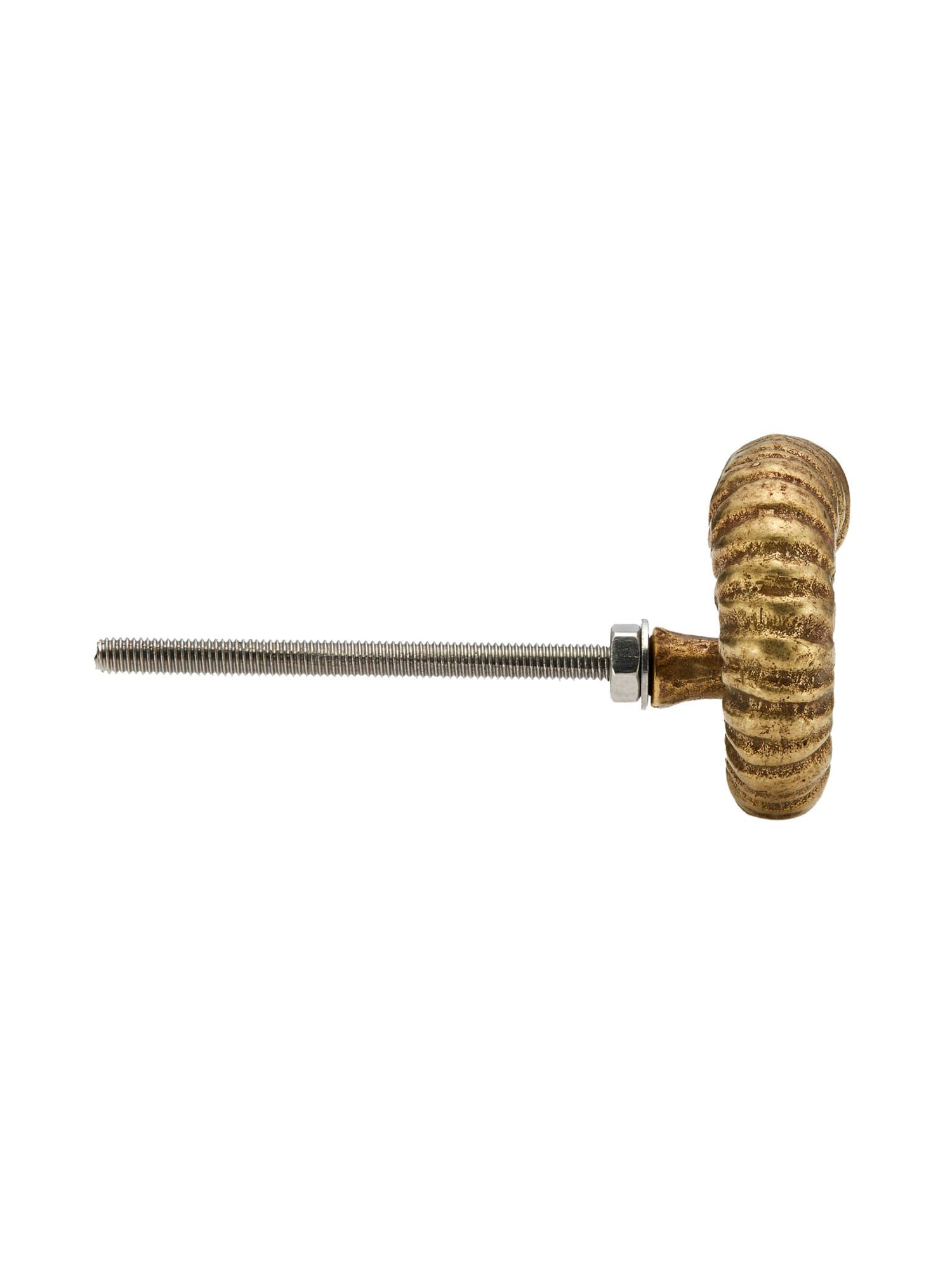 Ammonite Drawer Handle - image 5 | brass 