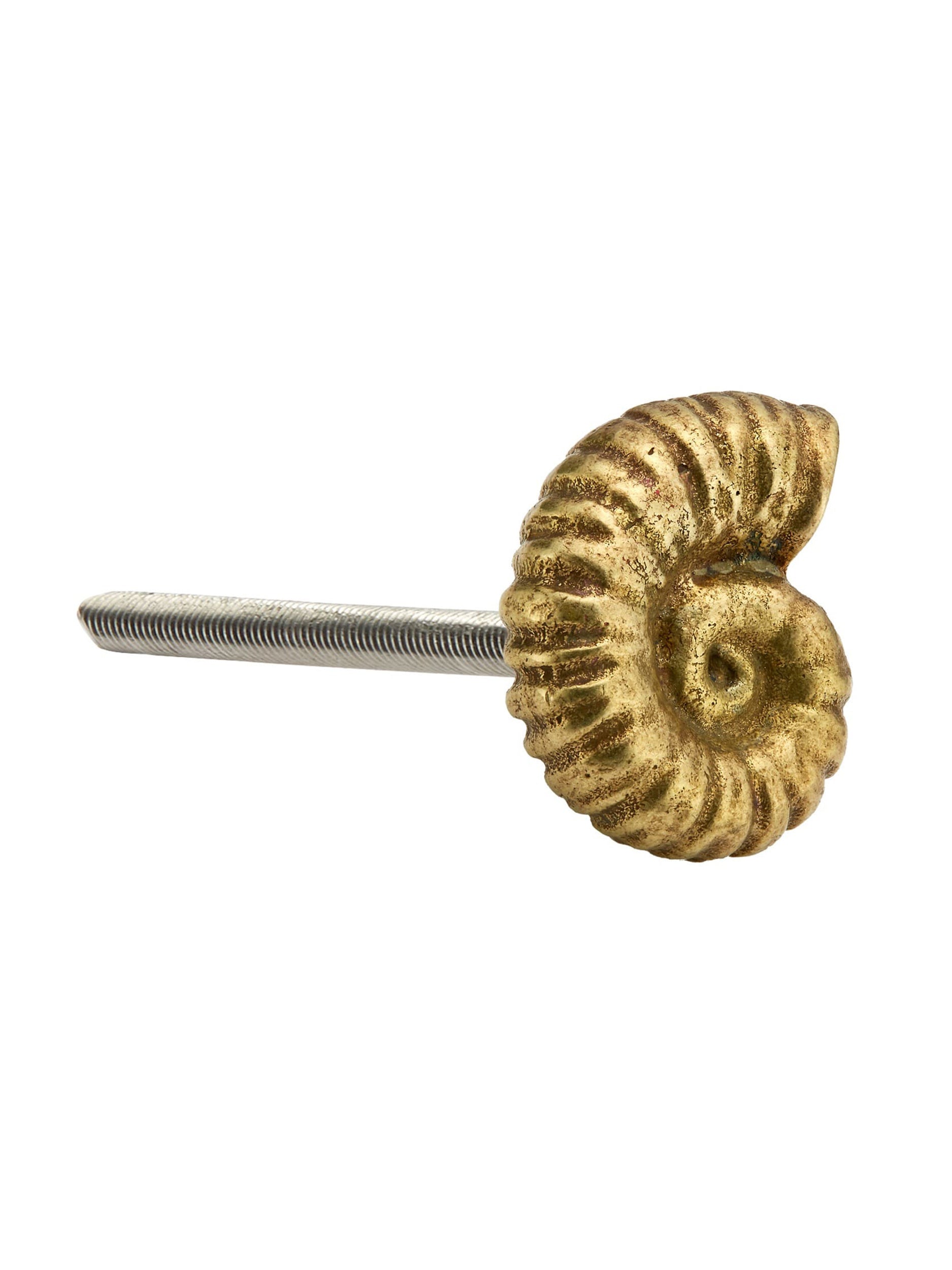 Ammonite Drawer Handle - image 6 | brass 