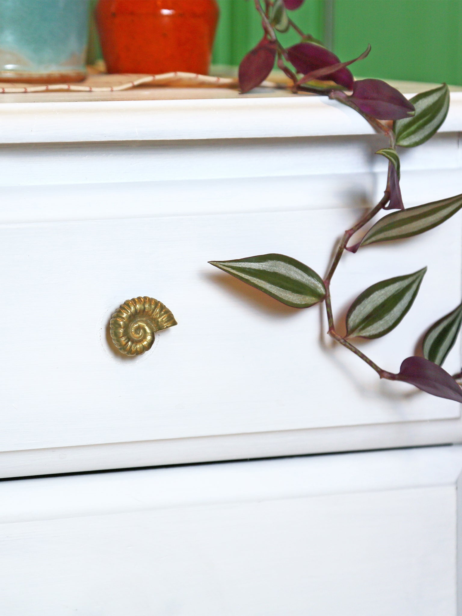 Ammonite Drawer Handle - image 2