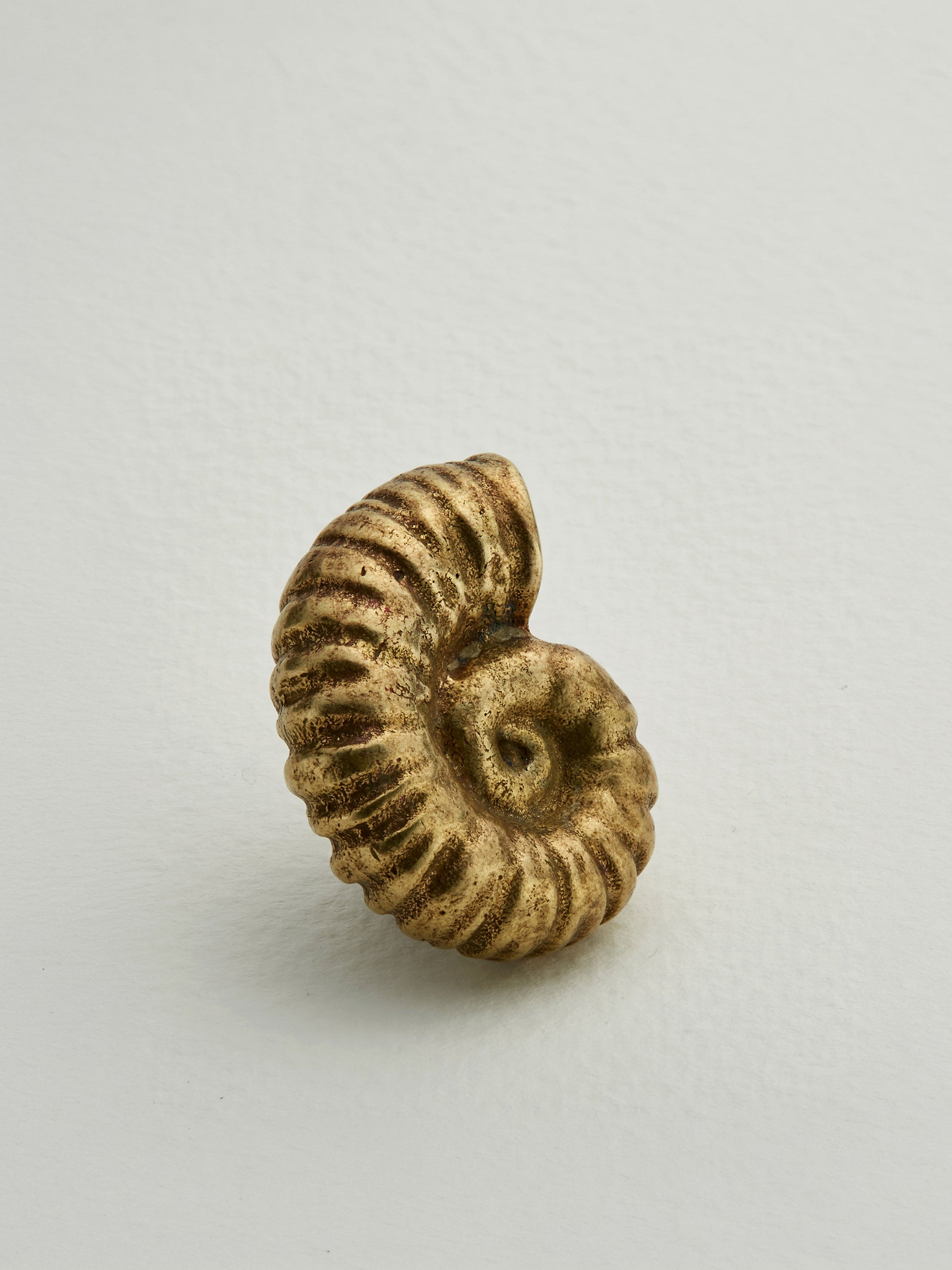 Ammonite Drawer Handle - image 3 | brass 