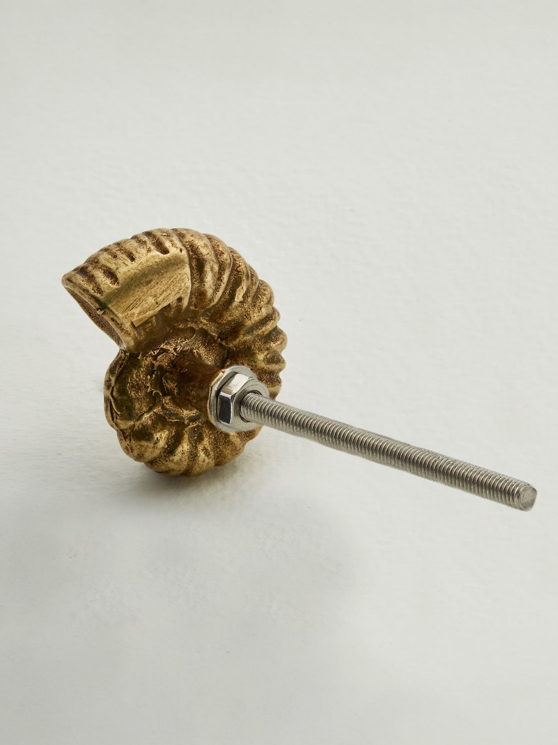 Ammonite Drawer Handle - image 4 | brass 