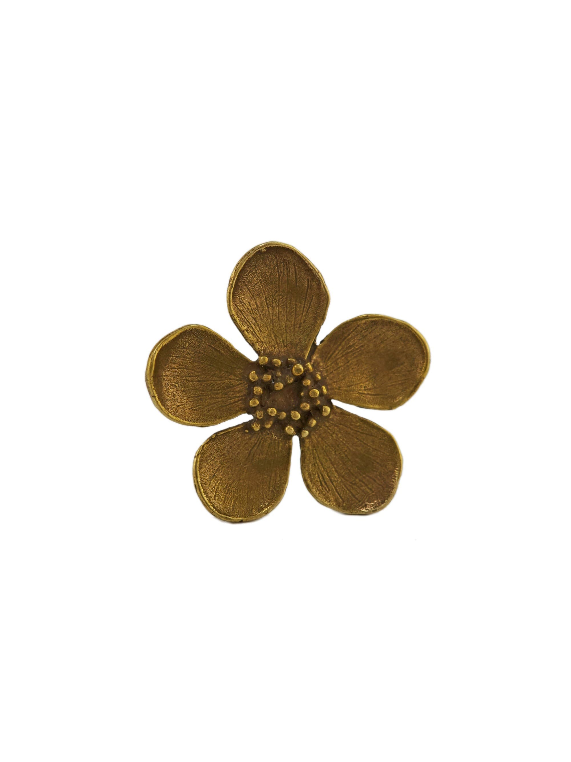 Buttercup Drawer Handle - image 1 | brass 
