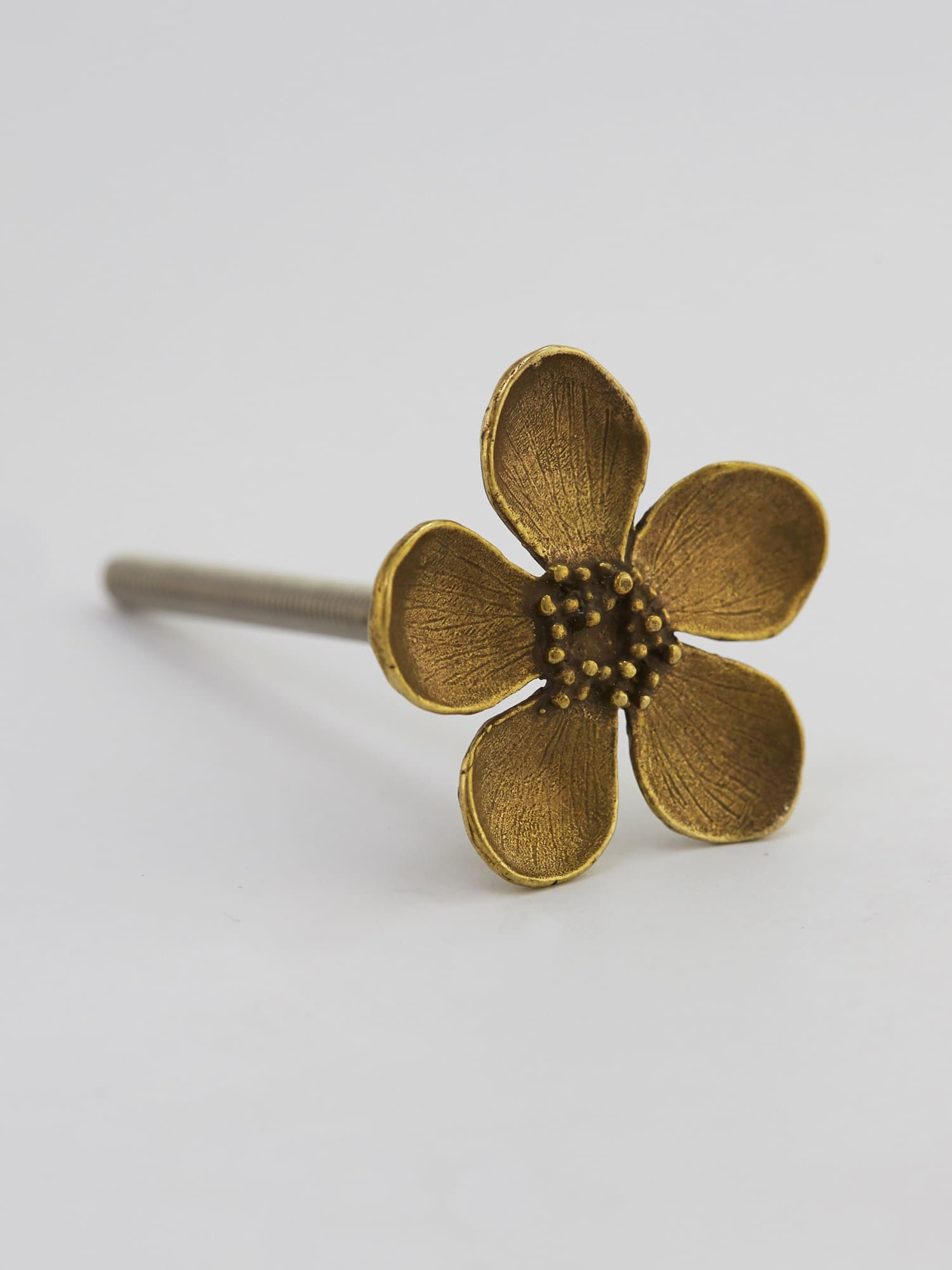 Buttercup Drawer Handle - image 3 | brass 