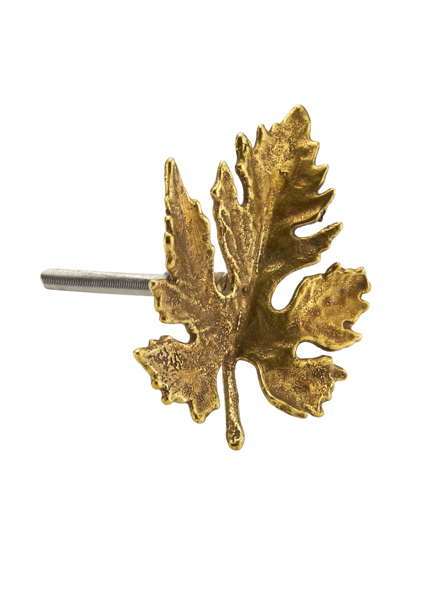 Vine Leaf Drawer Handle - image 5 | brass 
