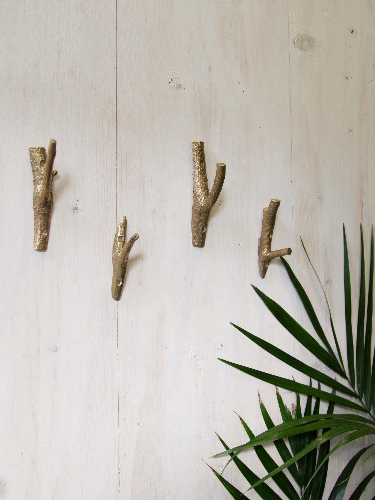 Elm Tree Deep Brass Hook