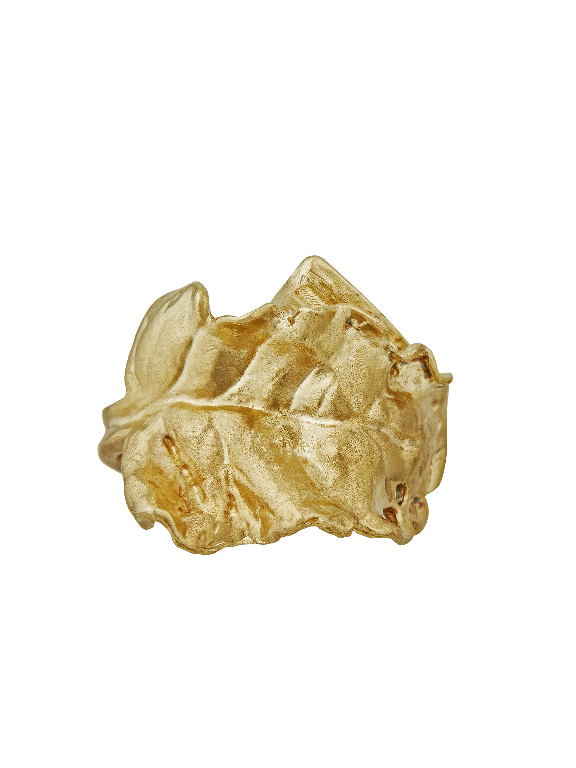 Wrapped Chard Brass Napkin Ring - image 1 | brass 