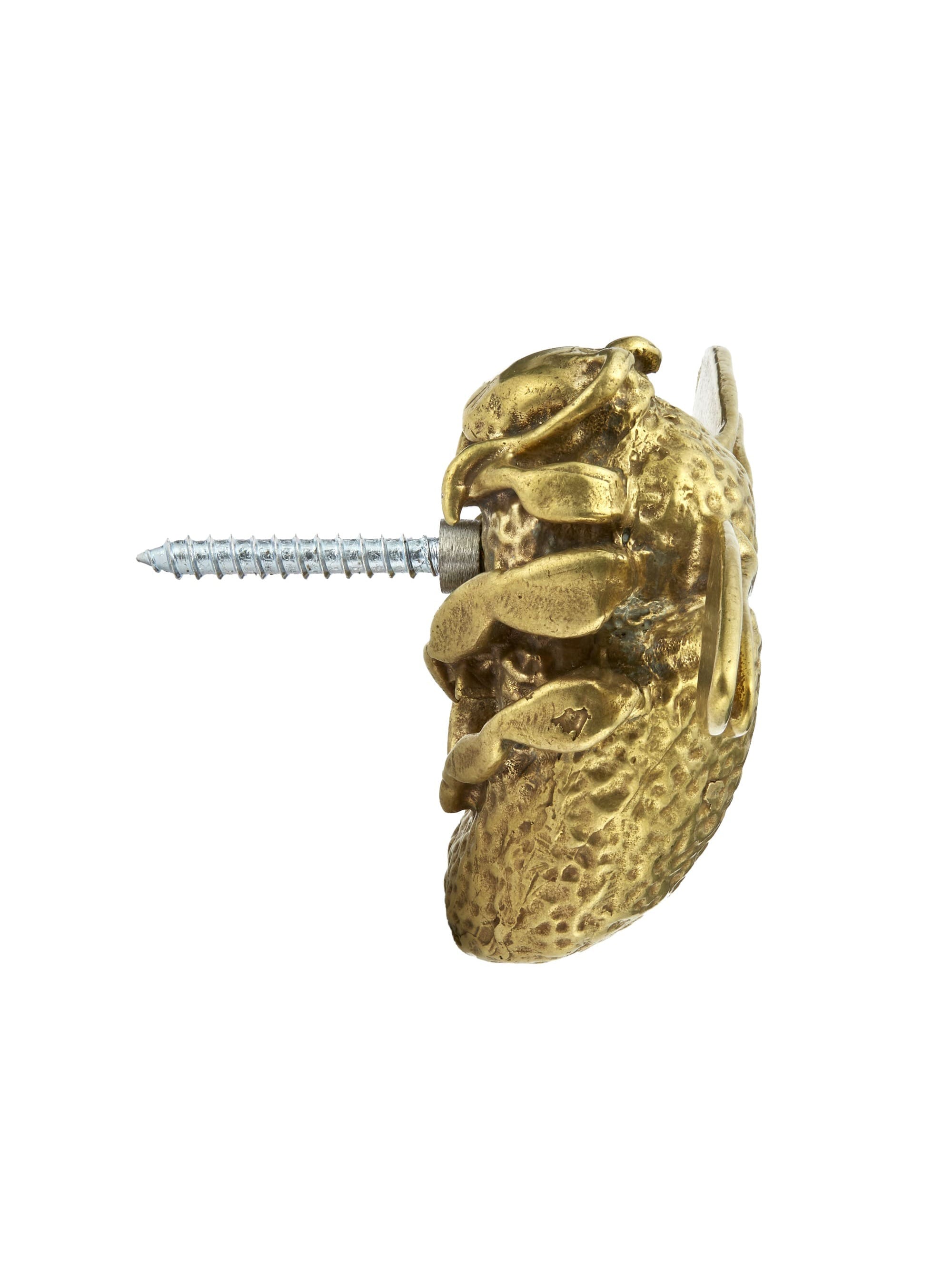 Decorative Brass Bumblebee with Wall Fixing - image 4 | brass 