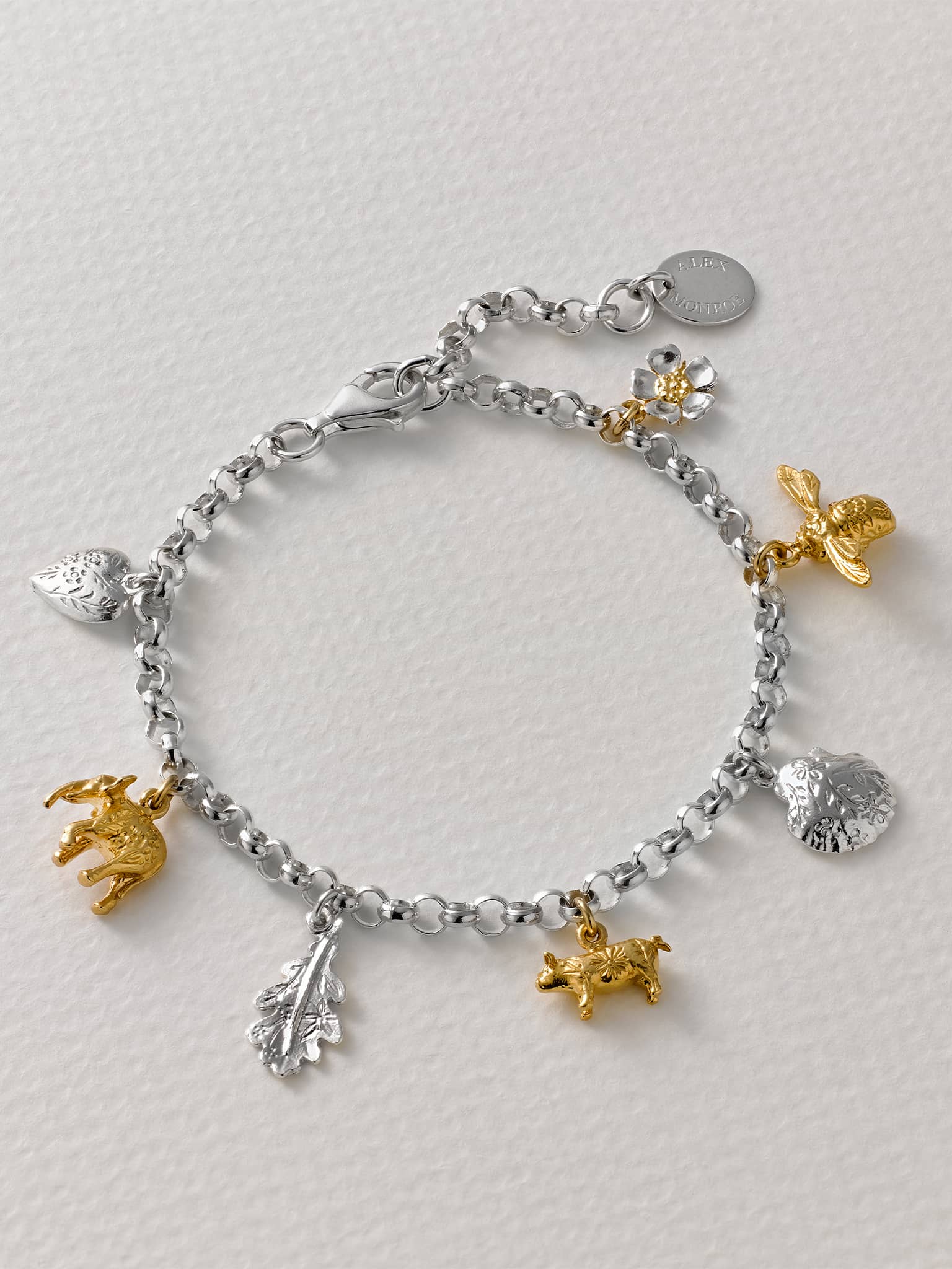 Menagerie Charm Bracelet with Floral Engraved Charms - image 4 | silver & gold plate