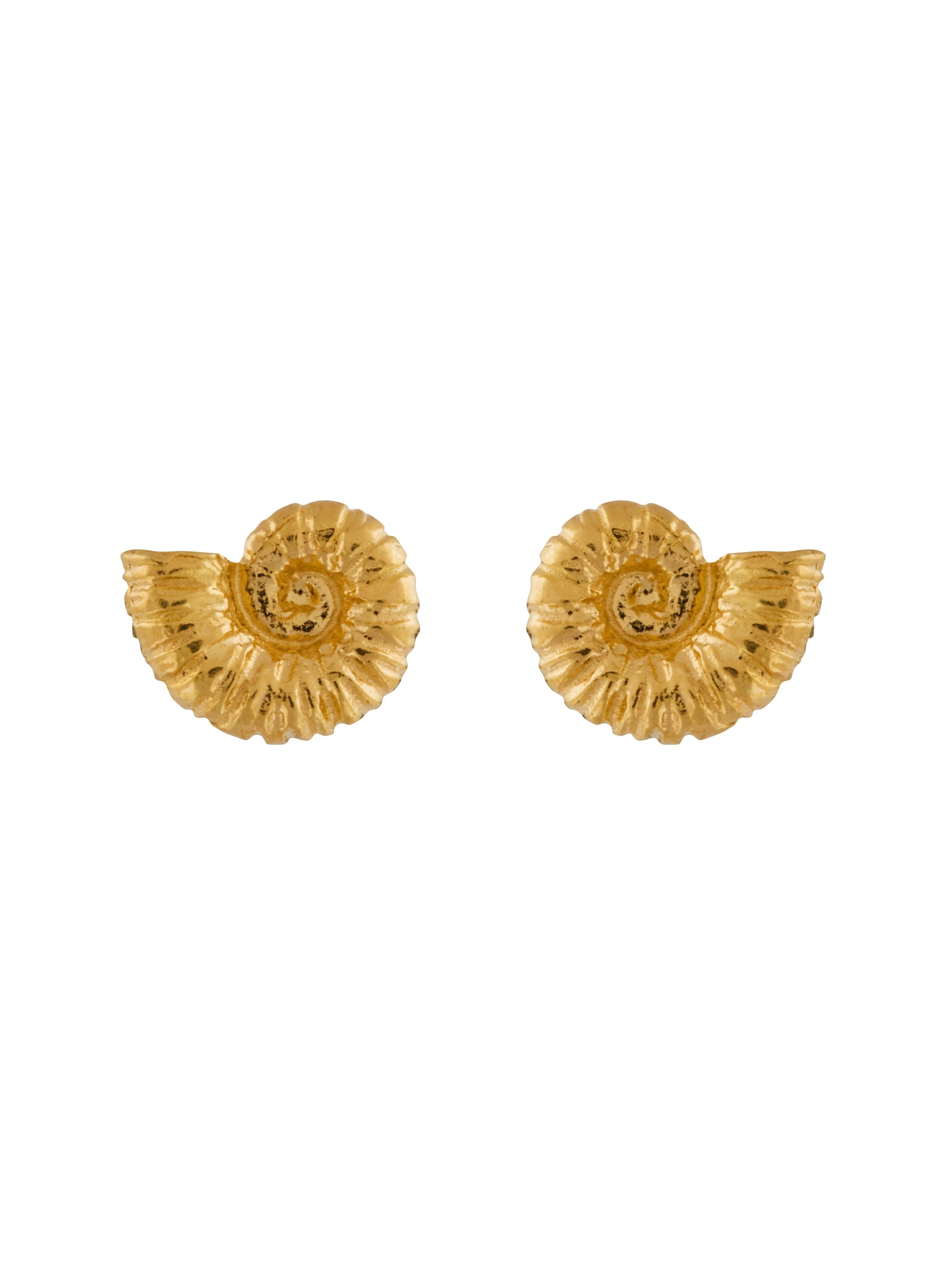 Ammonite Stud Earrings - image 1 | gold plate