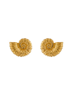 Ammonite Stud Earrings