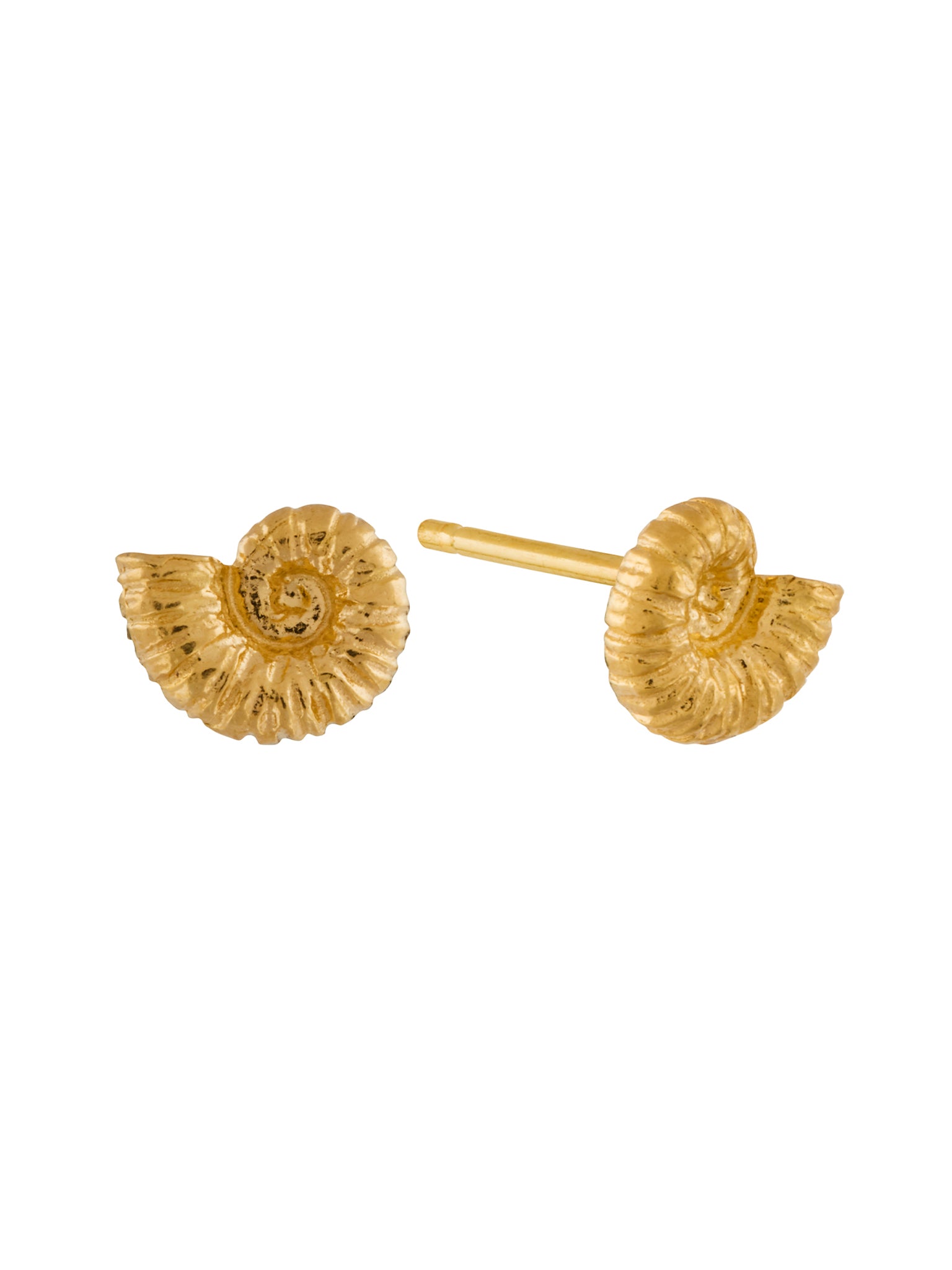 Ammonite Stud Earrings - image 4 | gold plate