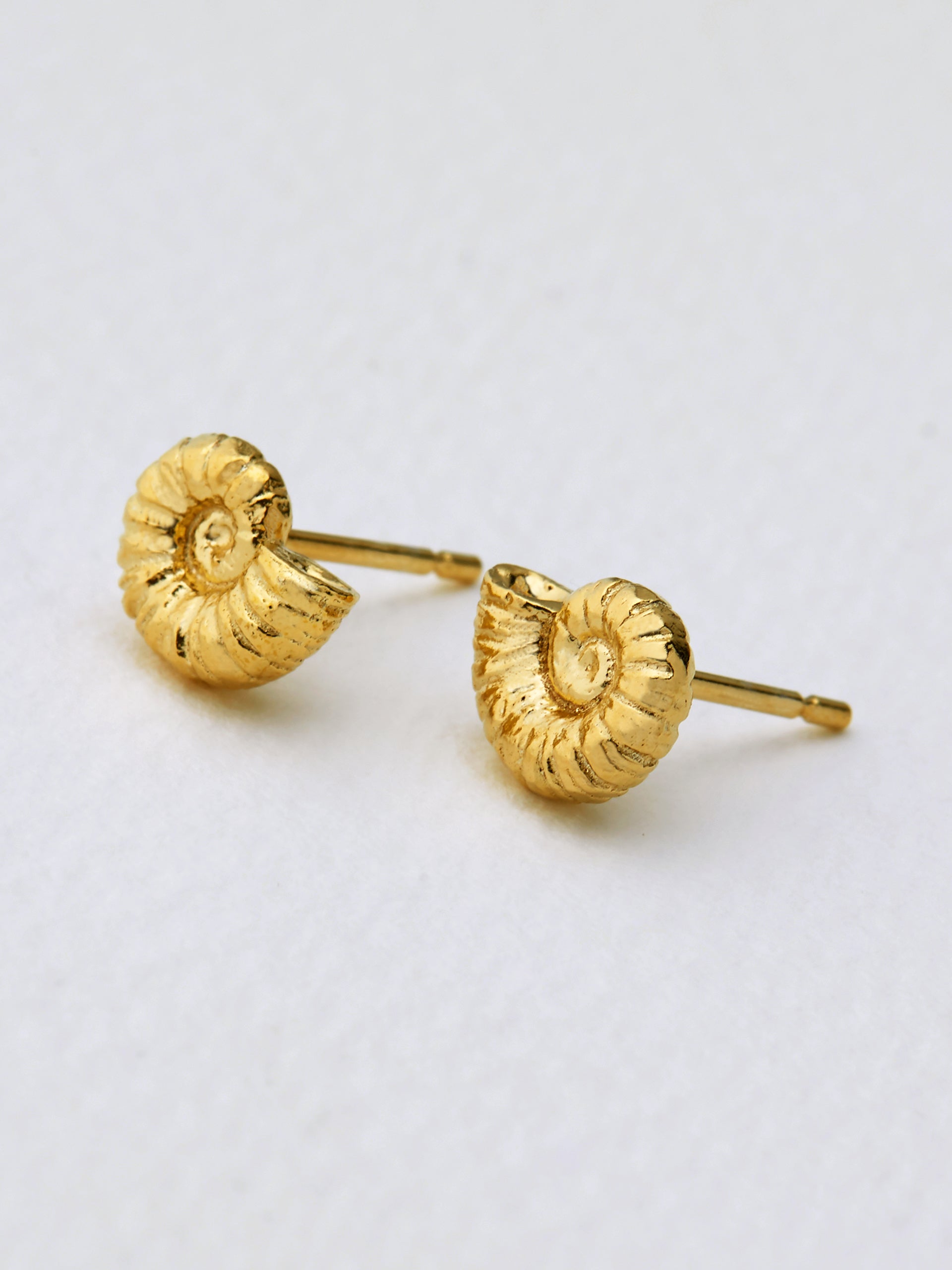 Ammonite Stud Earrings - image 3 | gold plate