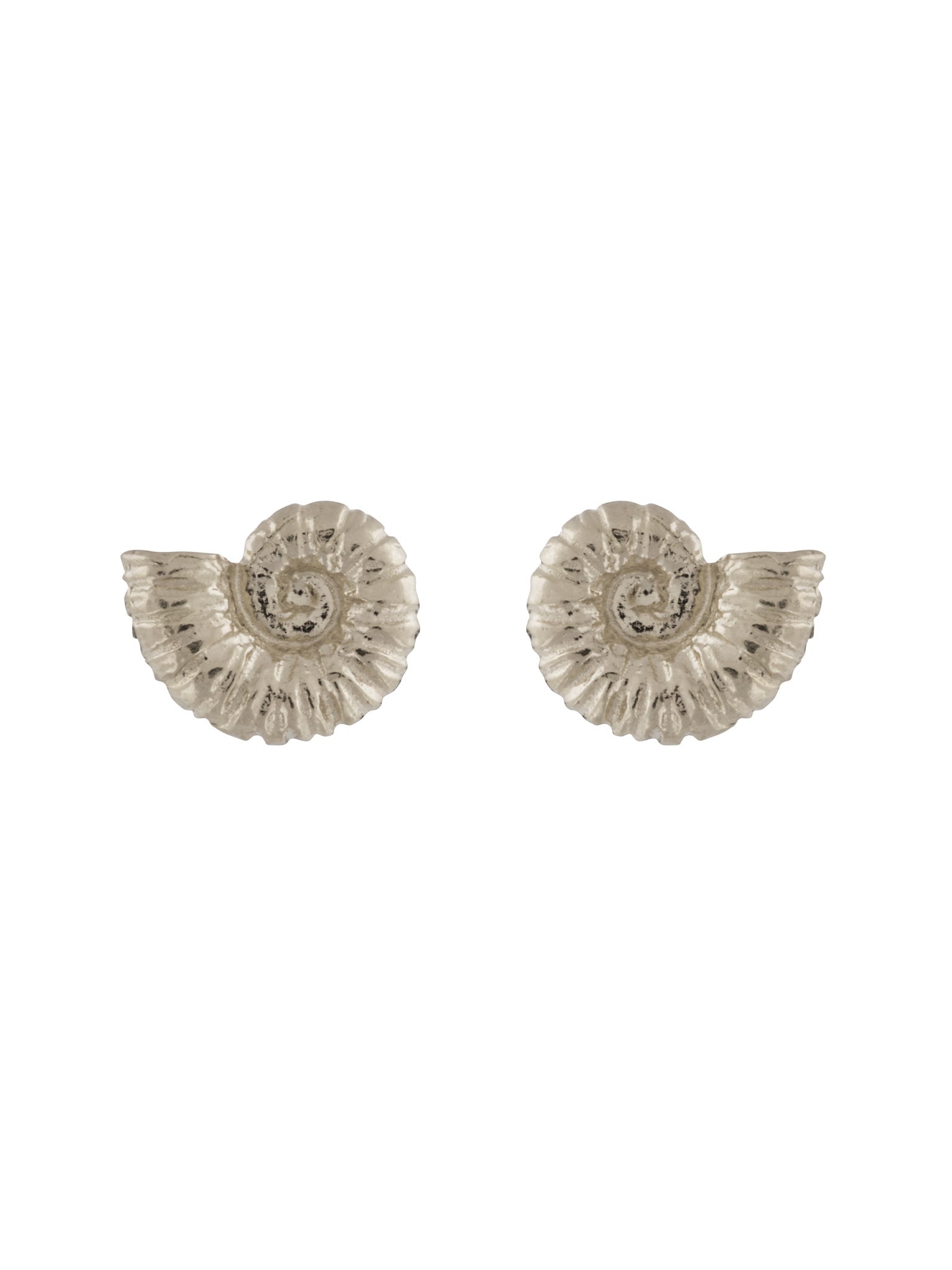 Ammonite Stud Earrings - image 5 | silver