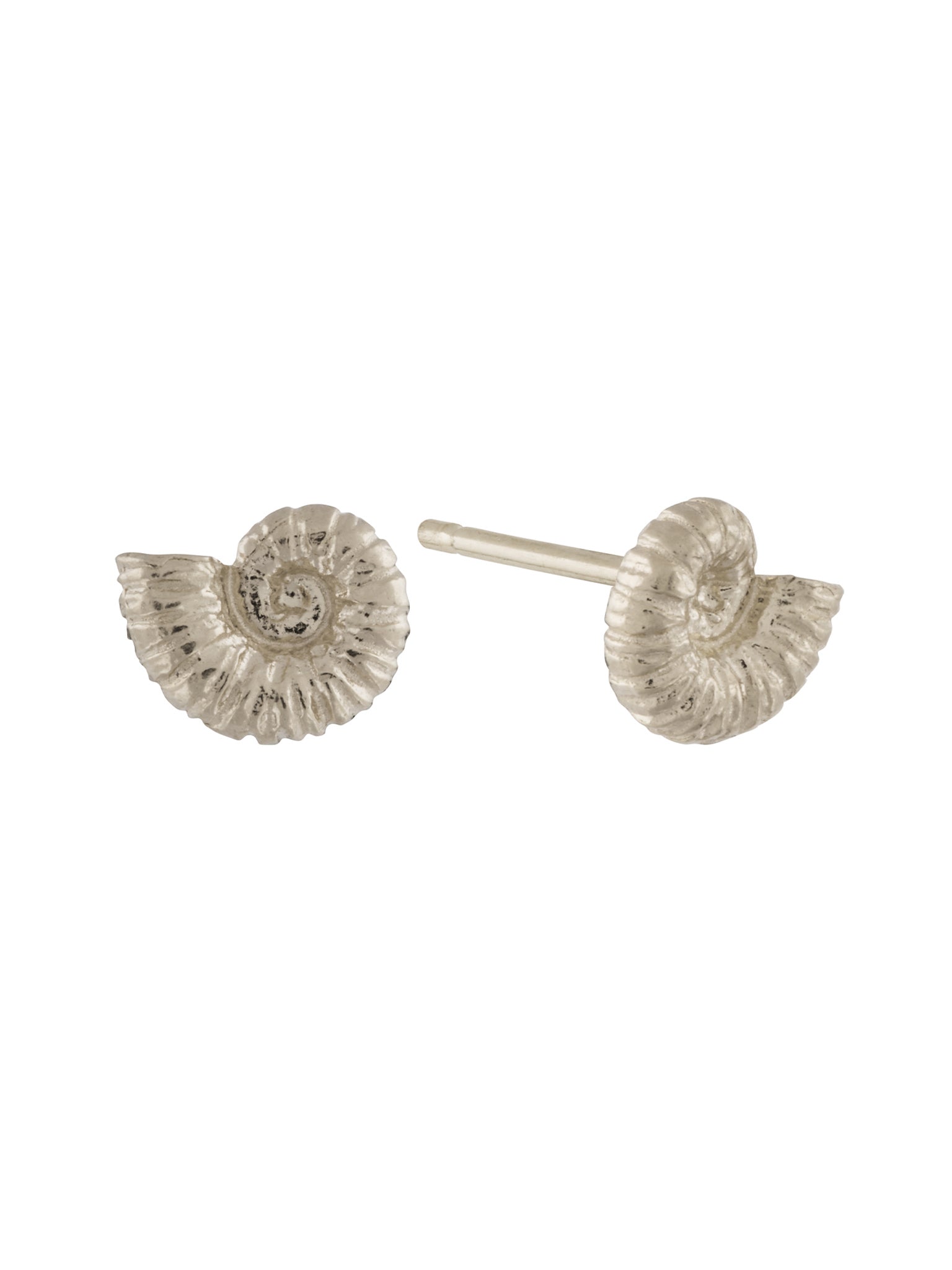 Ammonite Stud Earrings – Alex Monroe