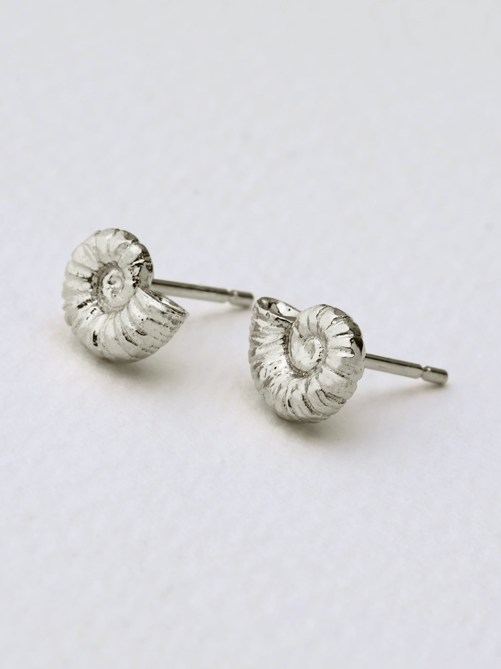 Ammonite Stud Earrings - image 6 | silver