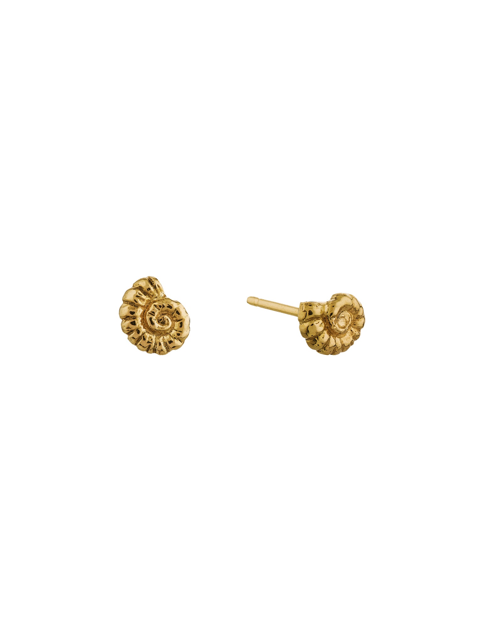 Fine Ammonite Stud Earrings - image 1 | 18ct yellow gold