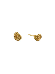 Fine Ammonite Stud Earrings