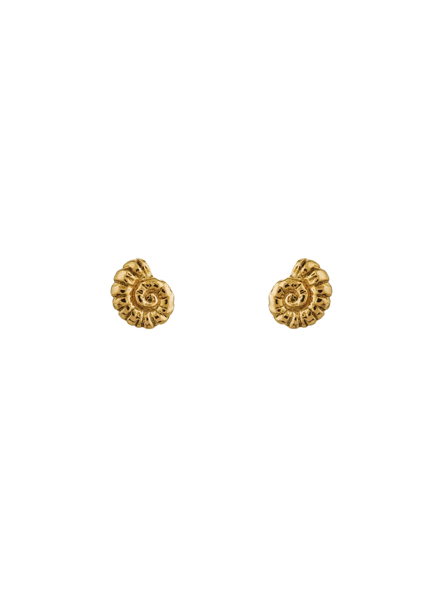 Fine Ammonite Stud Earrings - image 3 | 18ct yellow gold