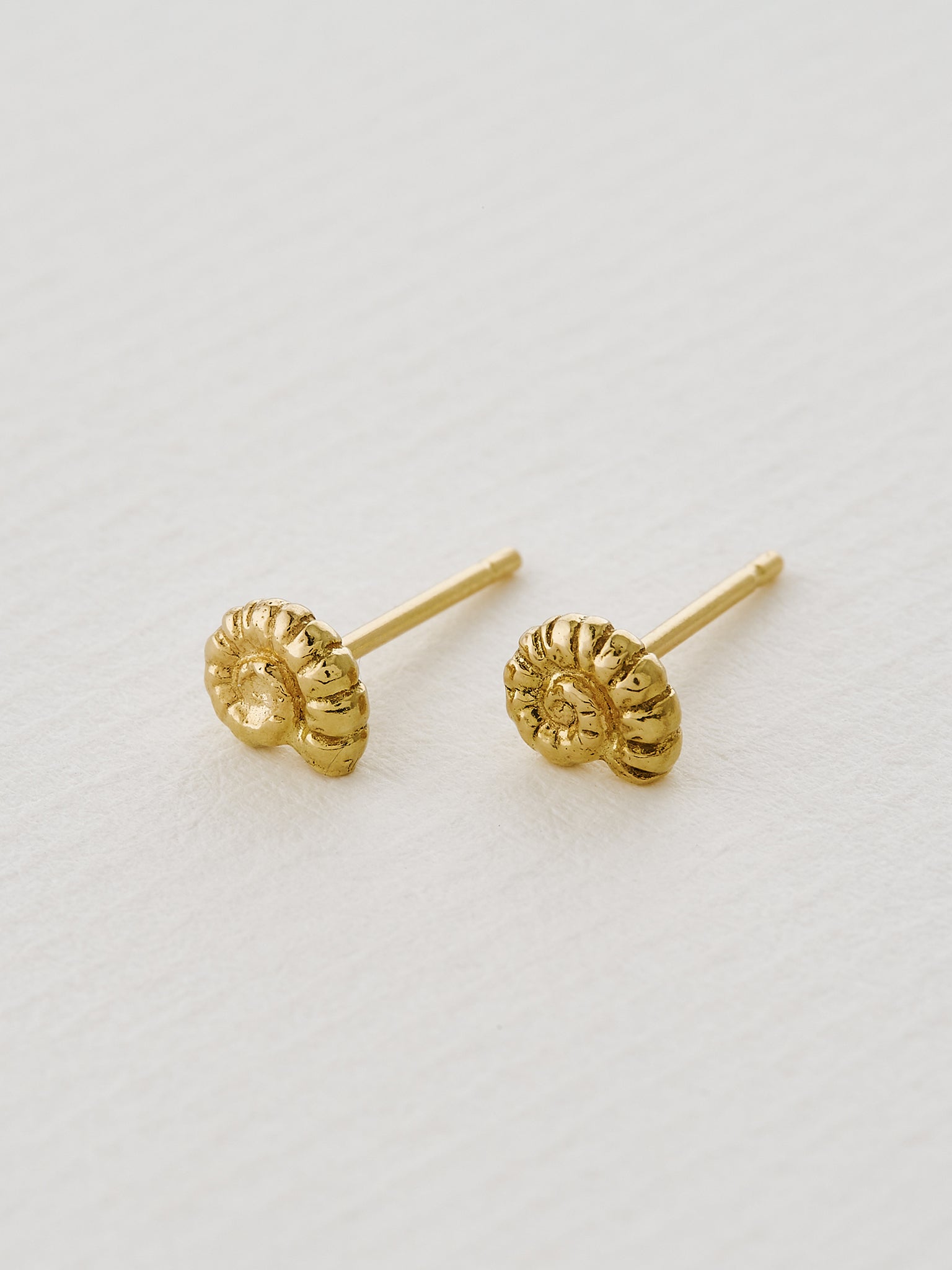 Fine Ammonite Stud Earrings - image 2 | 18ct yellow gold